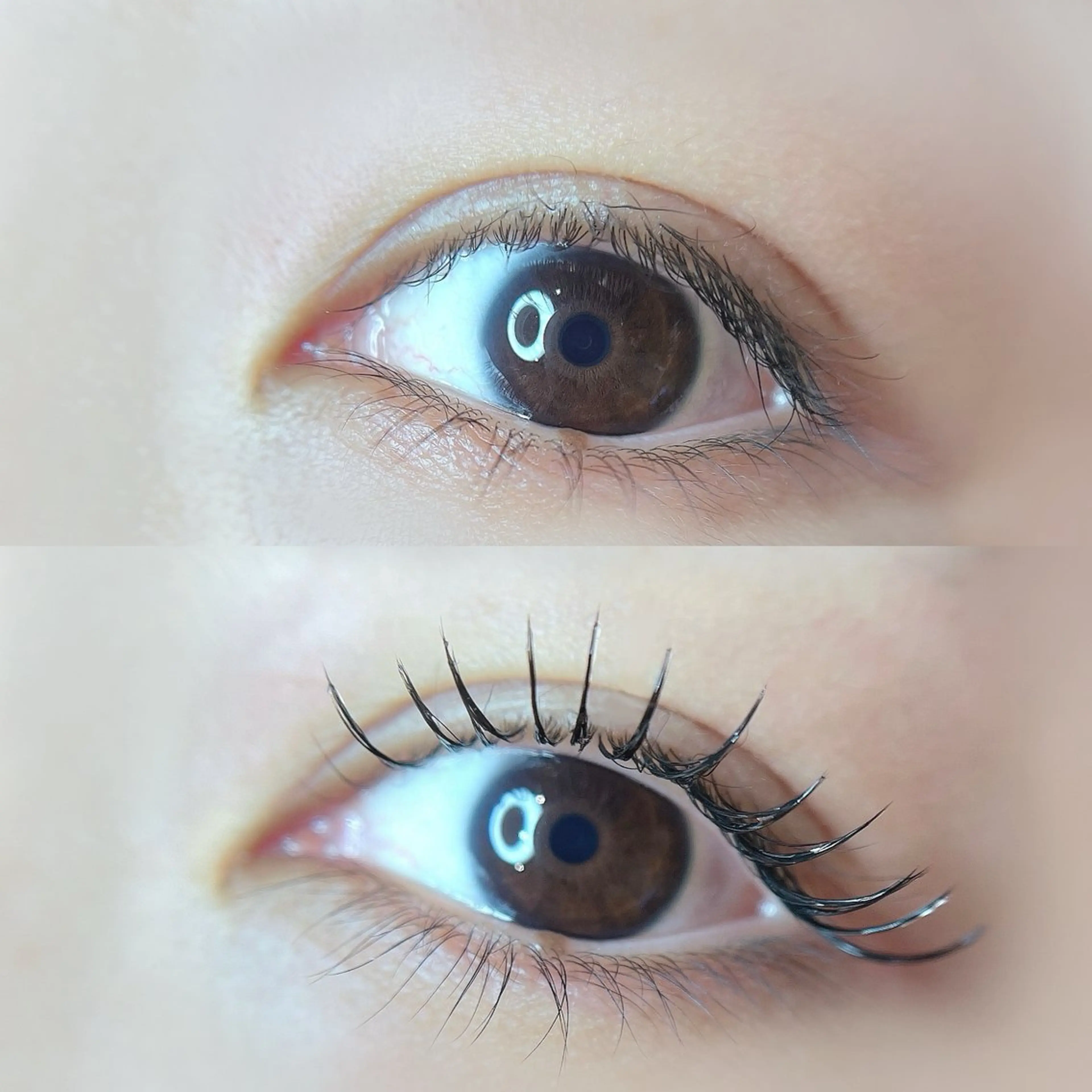 マツエク・マツパ cococherin所属・araki 🧸💭のマツエク・マツパデザイン