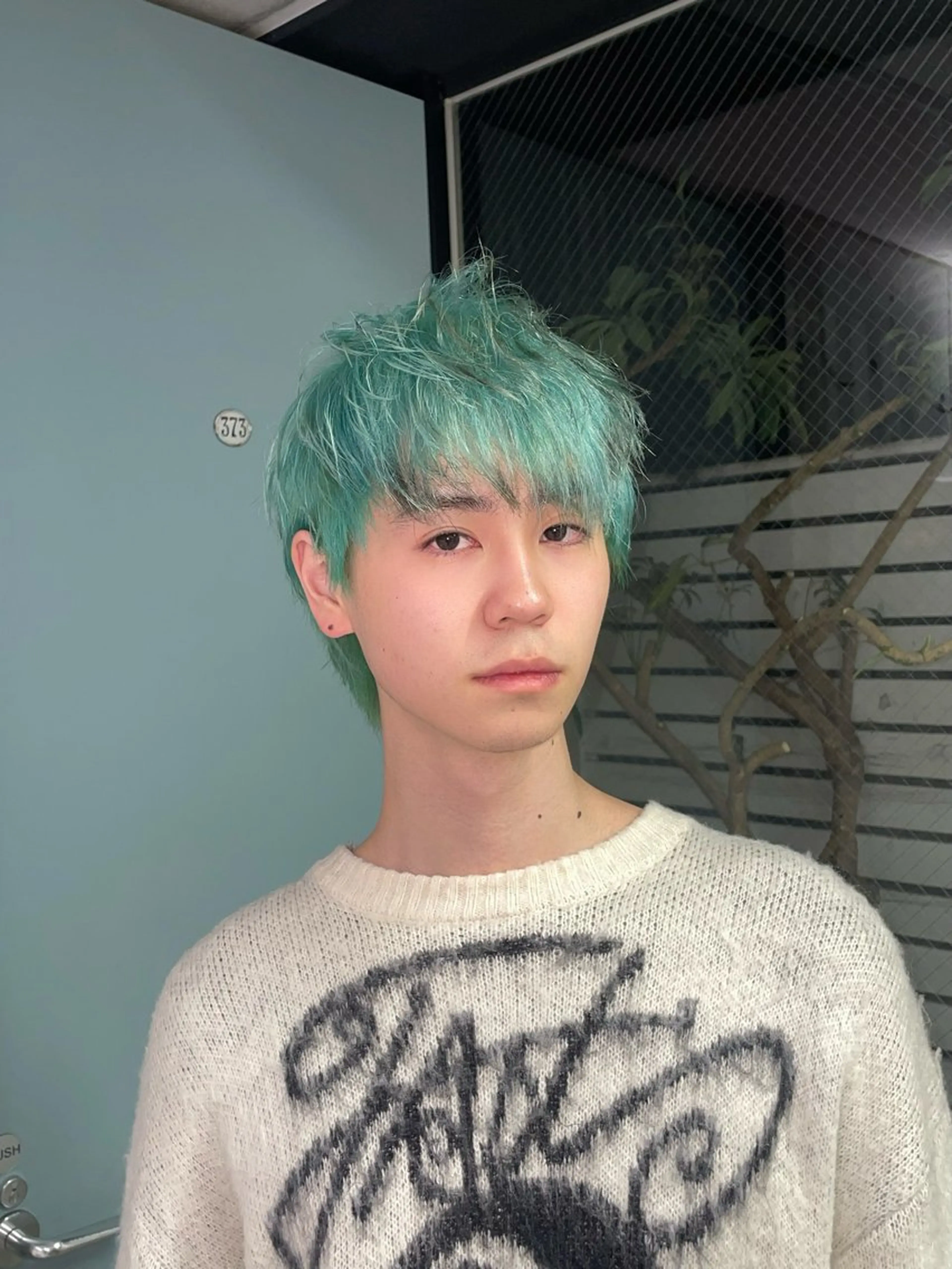 カラー ブリーチ エメラルドグリーン カット ヘアカラー トリートメント ハイトーン/ブリーチ /ウルフ/しゅーたのヘアスタイル