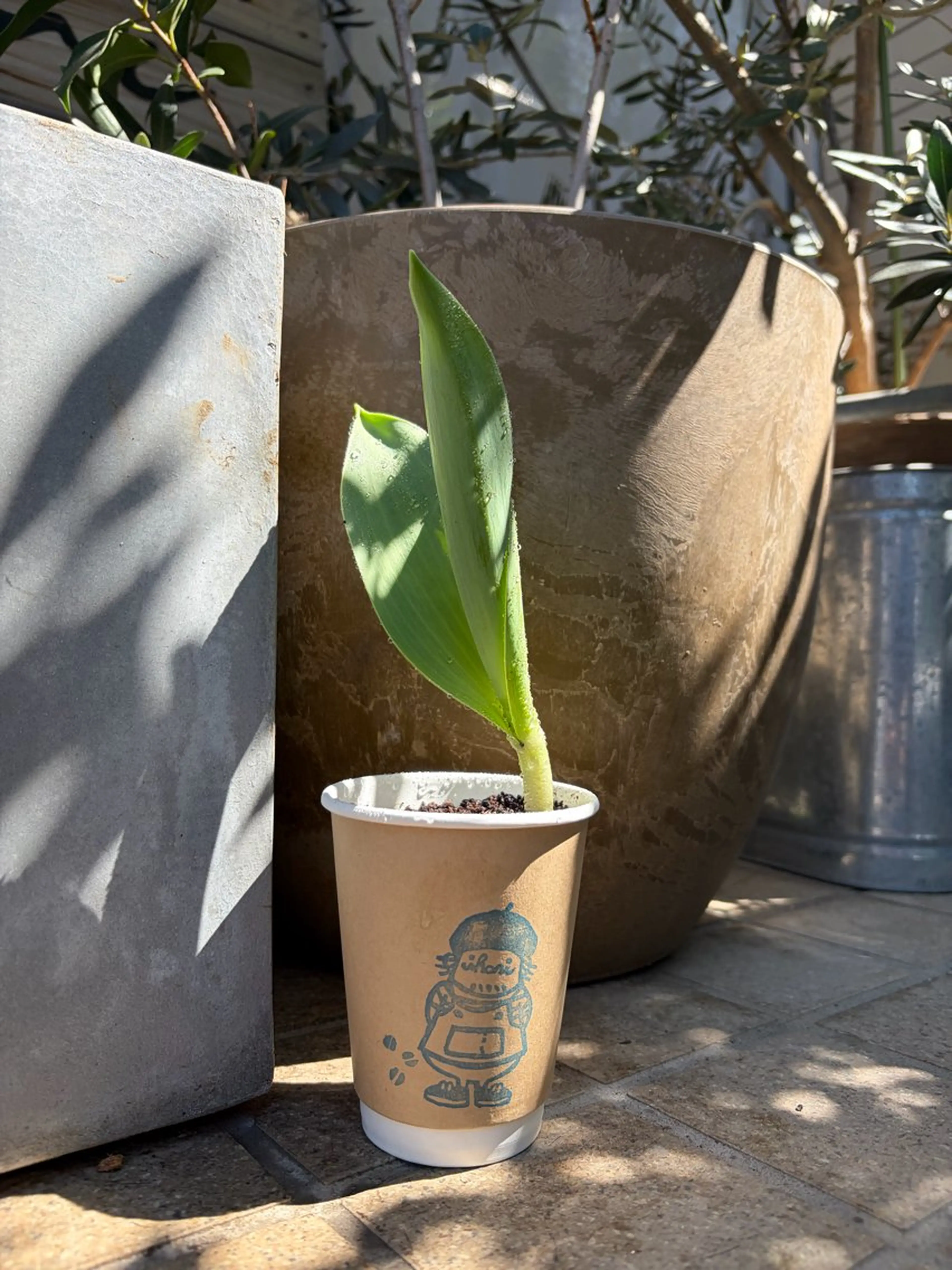 中村 芽衣那のヘアスタイル