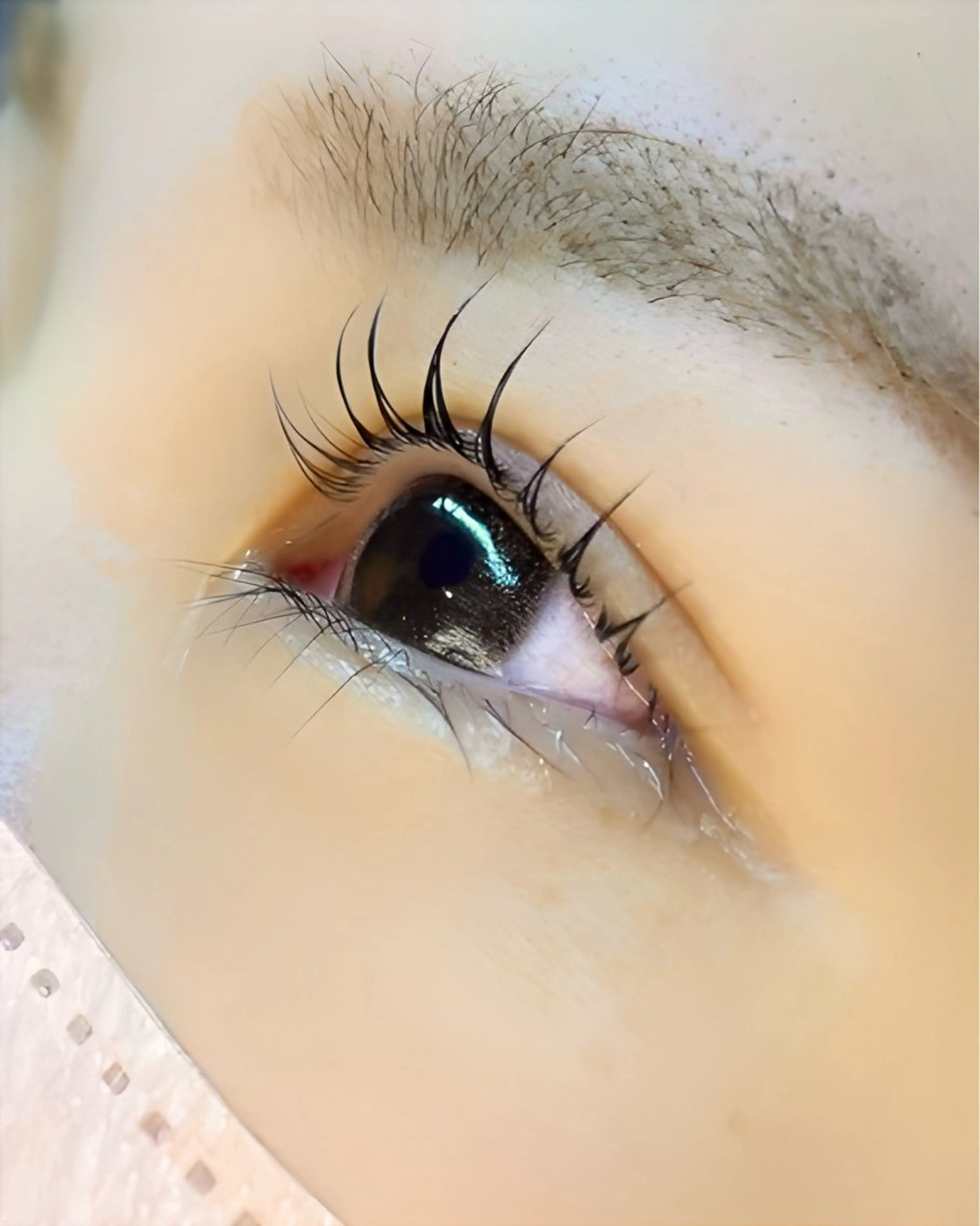 マツエク・マツパ マツパ YUUKI/まつ毛 パーマ/大阪梅田のマツエク・マツパデザイン