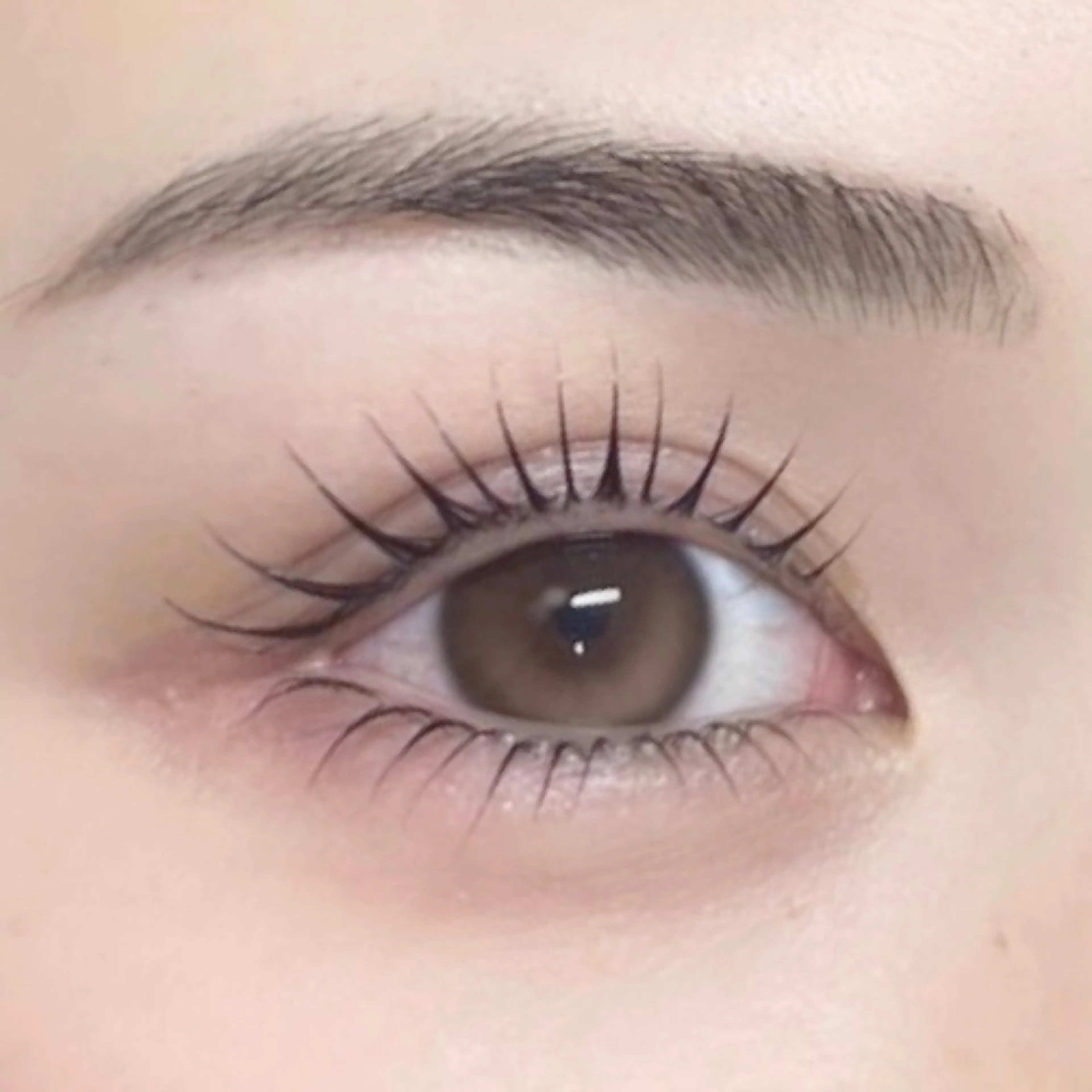 上下まつげパーマ🩶コーティング付の写真
