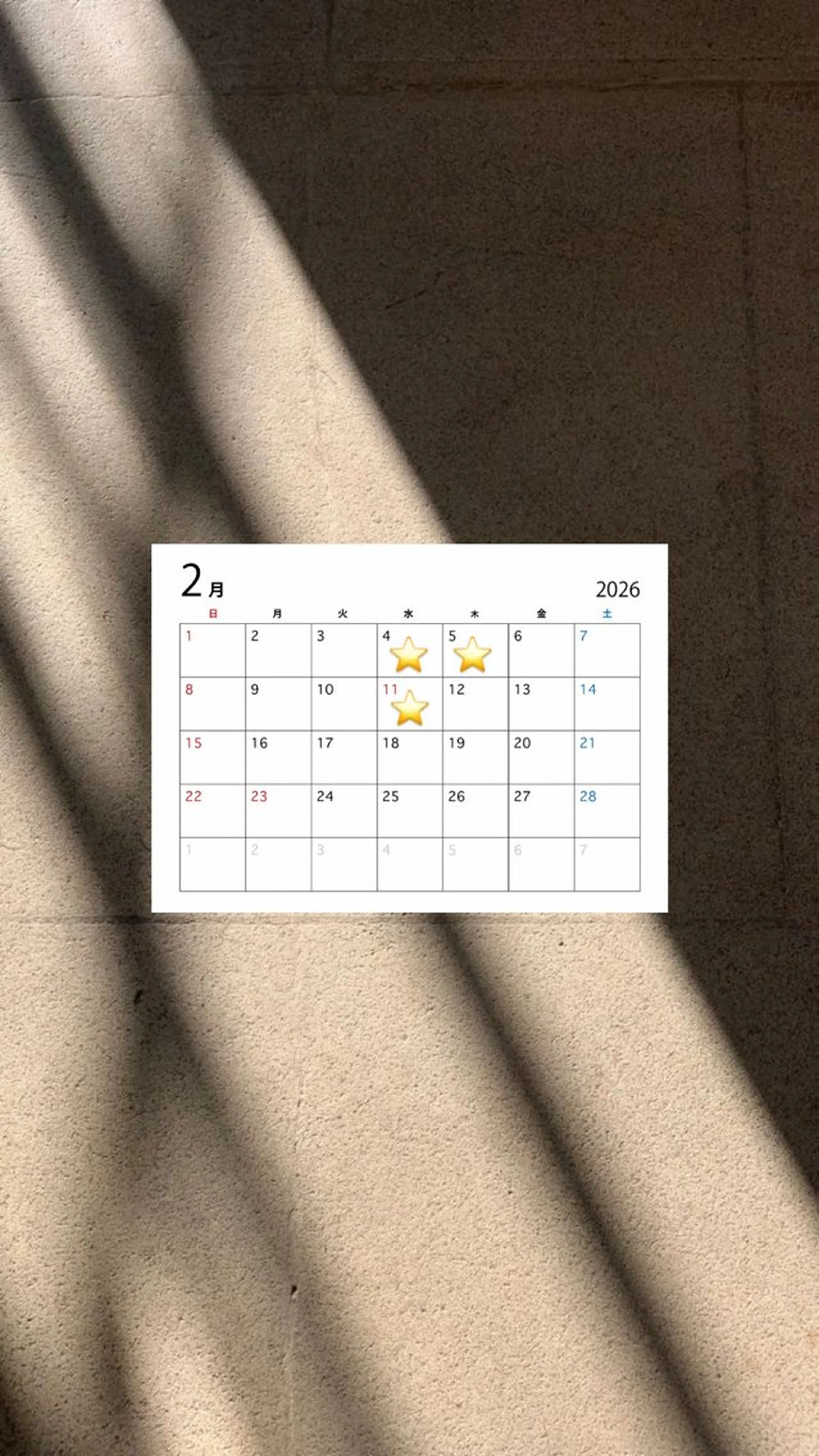 ショート カット 加藤 菜々子のヘアスタイル