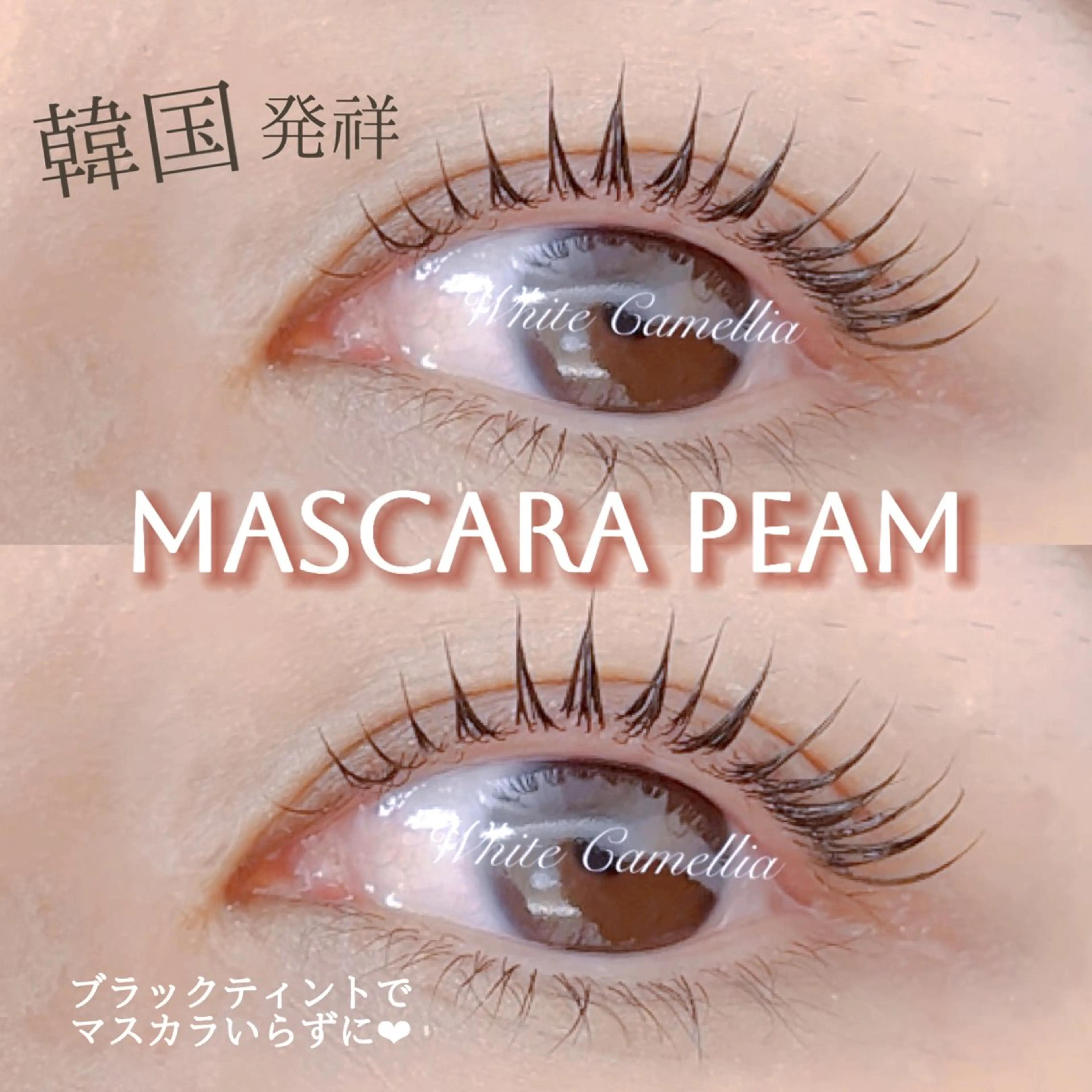 マツエク・マツパ 韓国風束感まつ毛🎀 Nanamiのマツエク・マツパデザイン