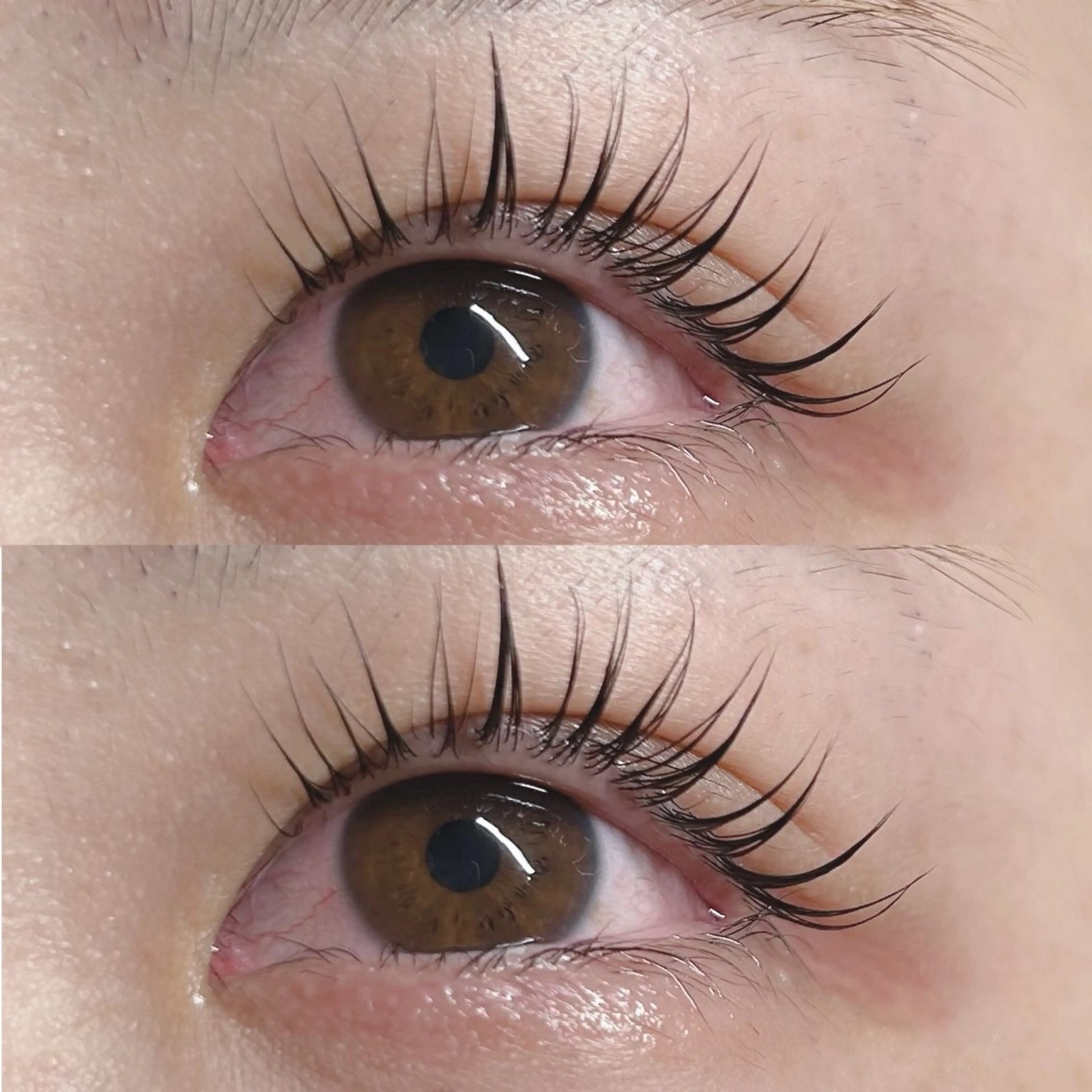 🫧【平日限定価格】メーテルラッシュリフト🫧の写真