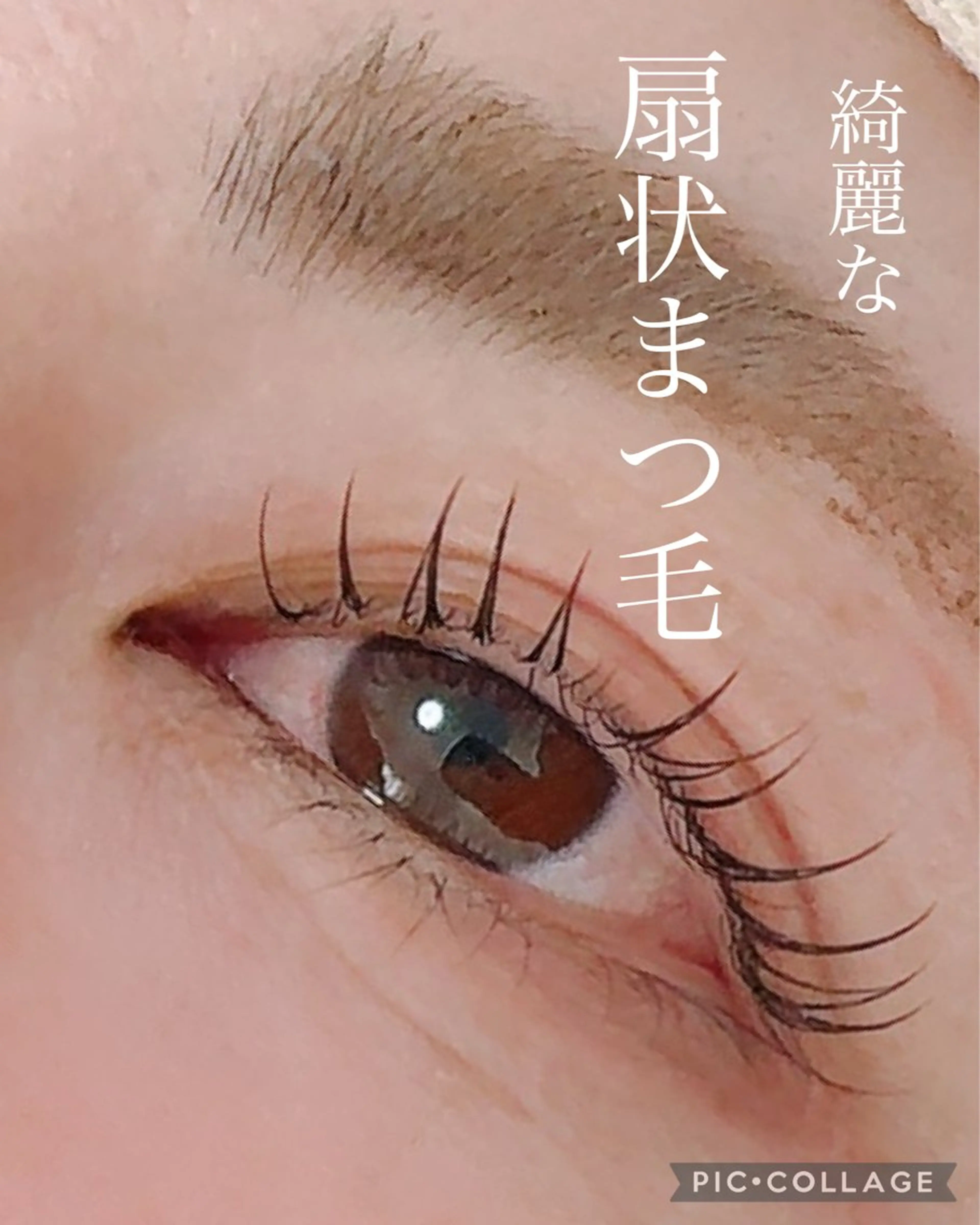 マツエク・マツパ 一重×まつ毛パーマ N ラッシュのマツエク・マツパデザイン