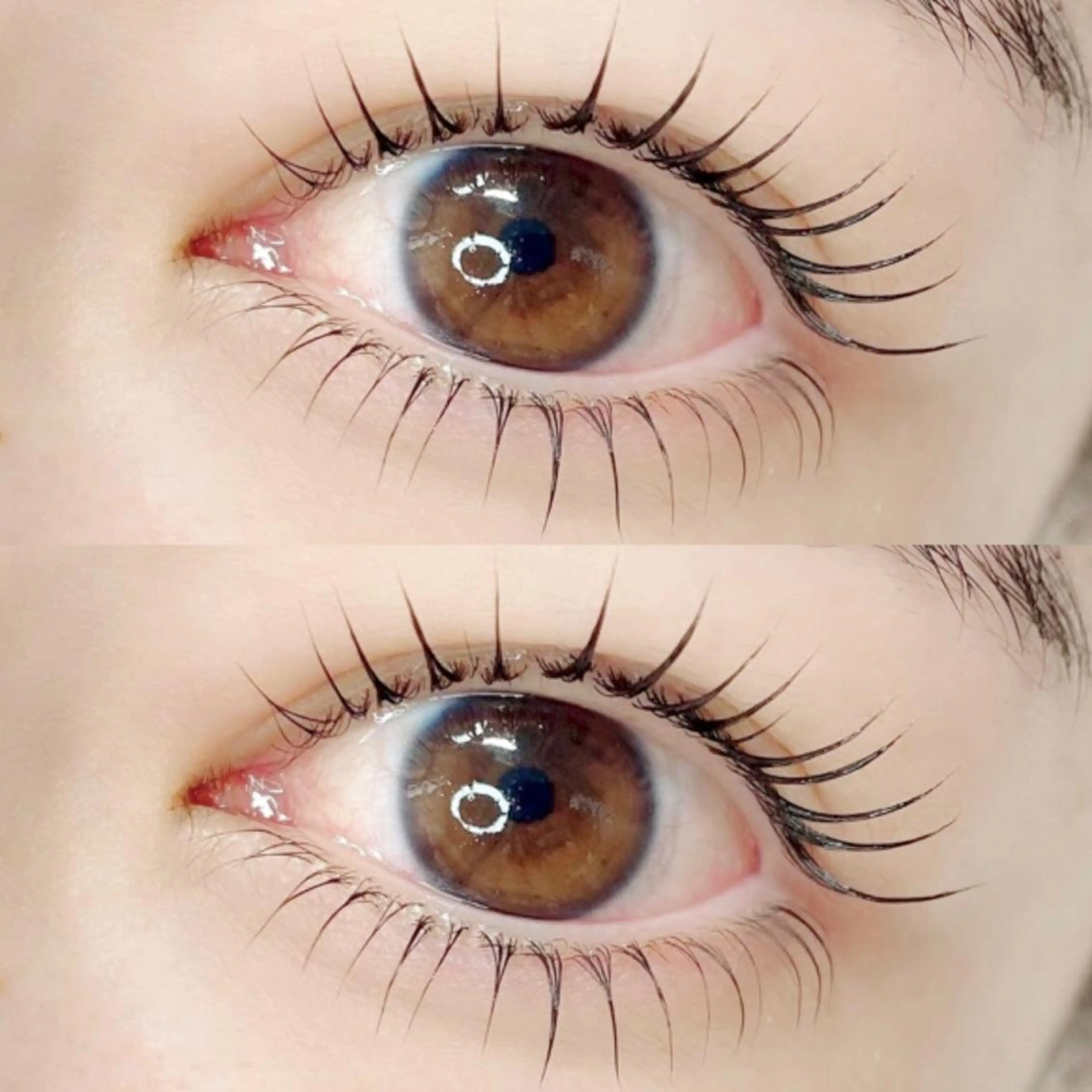 【ご新規様限定】オフ代無料✨上下パリジェンヌorラッシュリフト🍑最高級トリートメント付き！コーティング束感仕上げ✨の写真