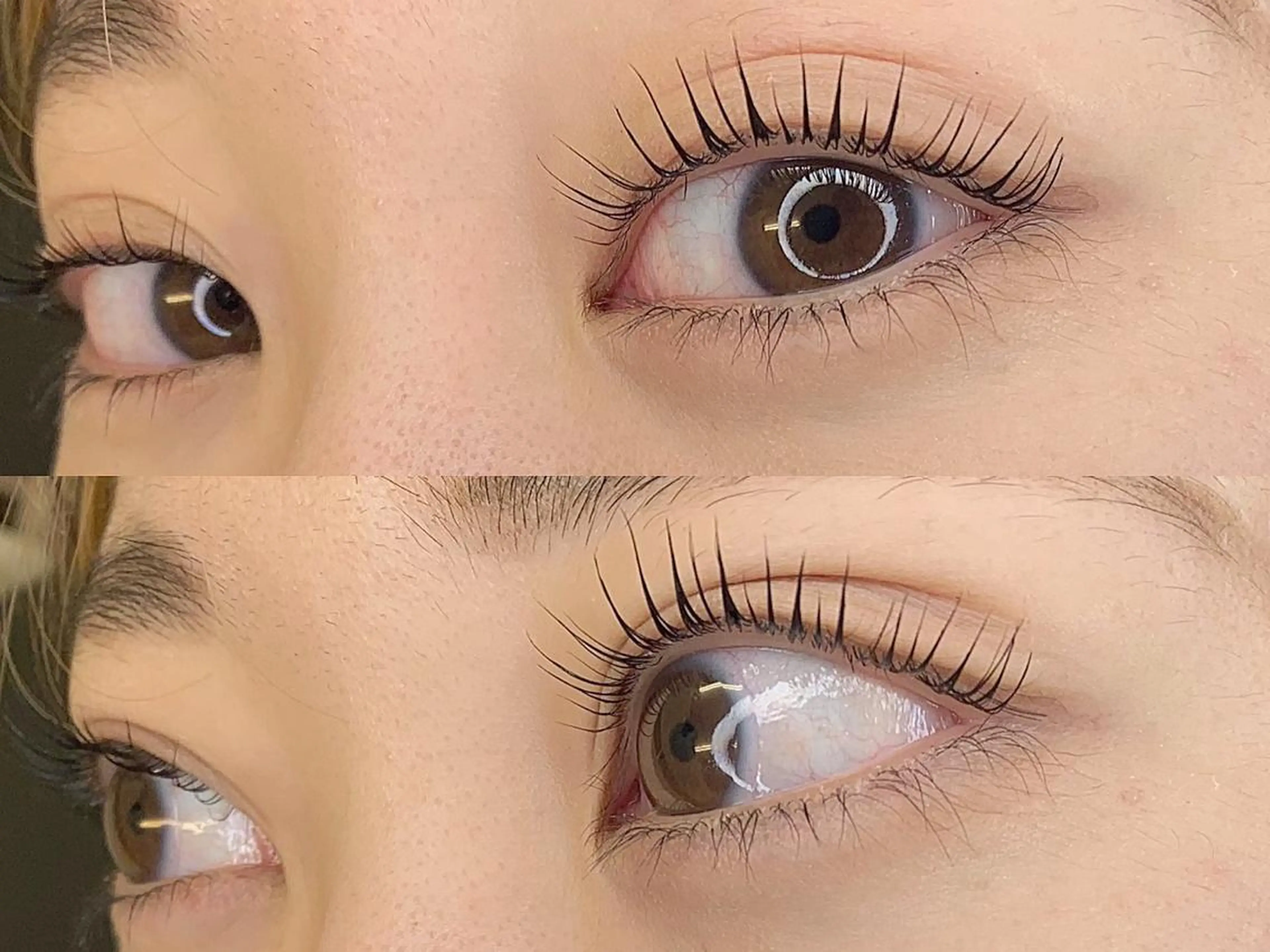 【2回目以降】パリジェンヌ/ラッシュリフト選べるまつパの写真