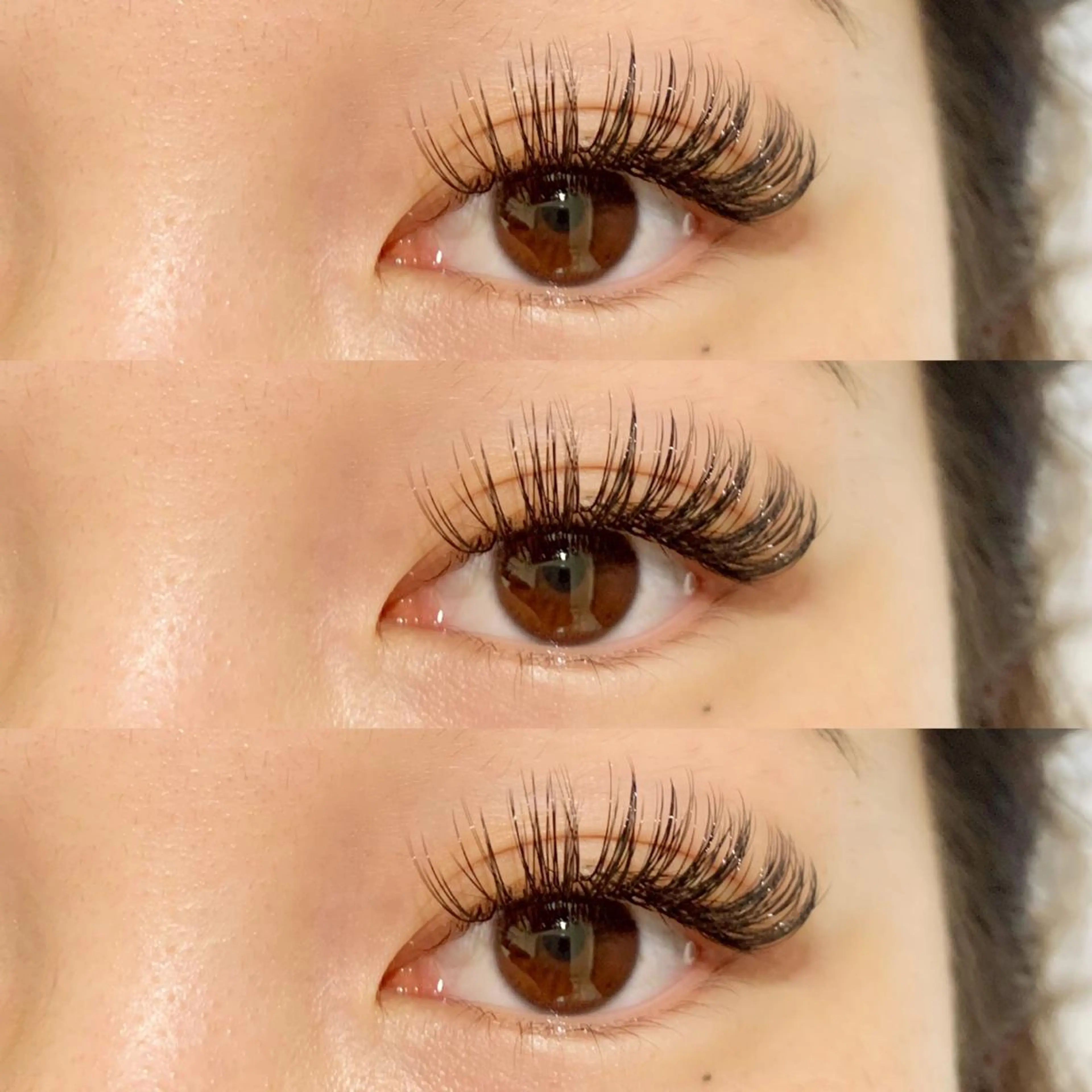 【バインドロック120束】オフ無料/コーティング付き💎の写真