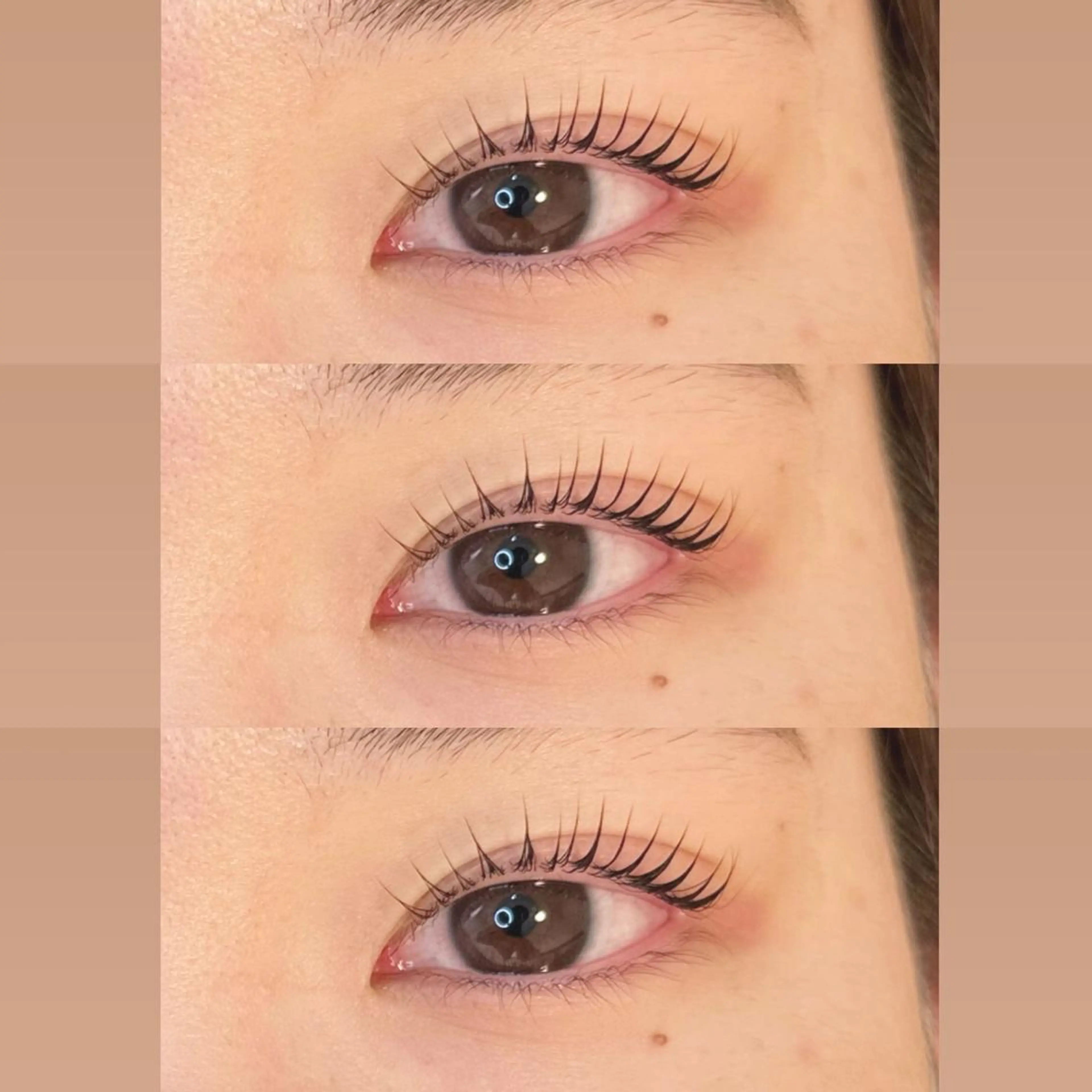 💫ダメージレスケラチンまつ毛パーマ上下💫の写真