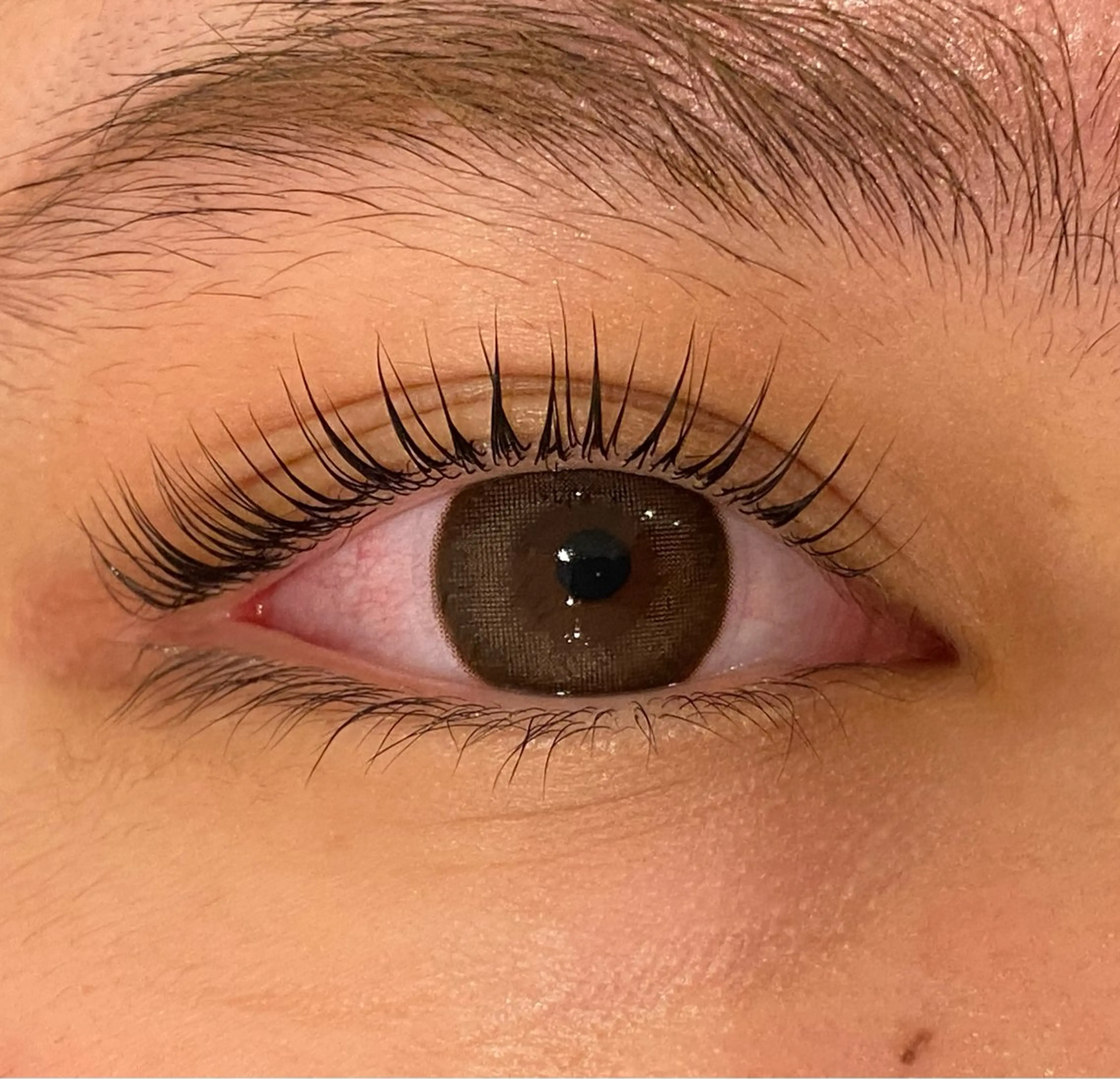 マツエク・マツパ Daisy lash 京橋店堀井のマツエク・マツパデザイン