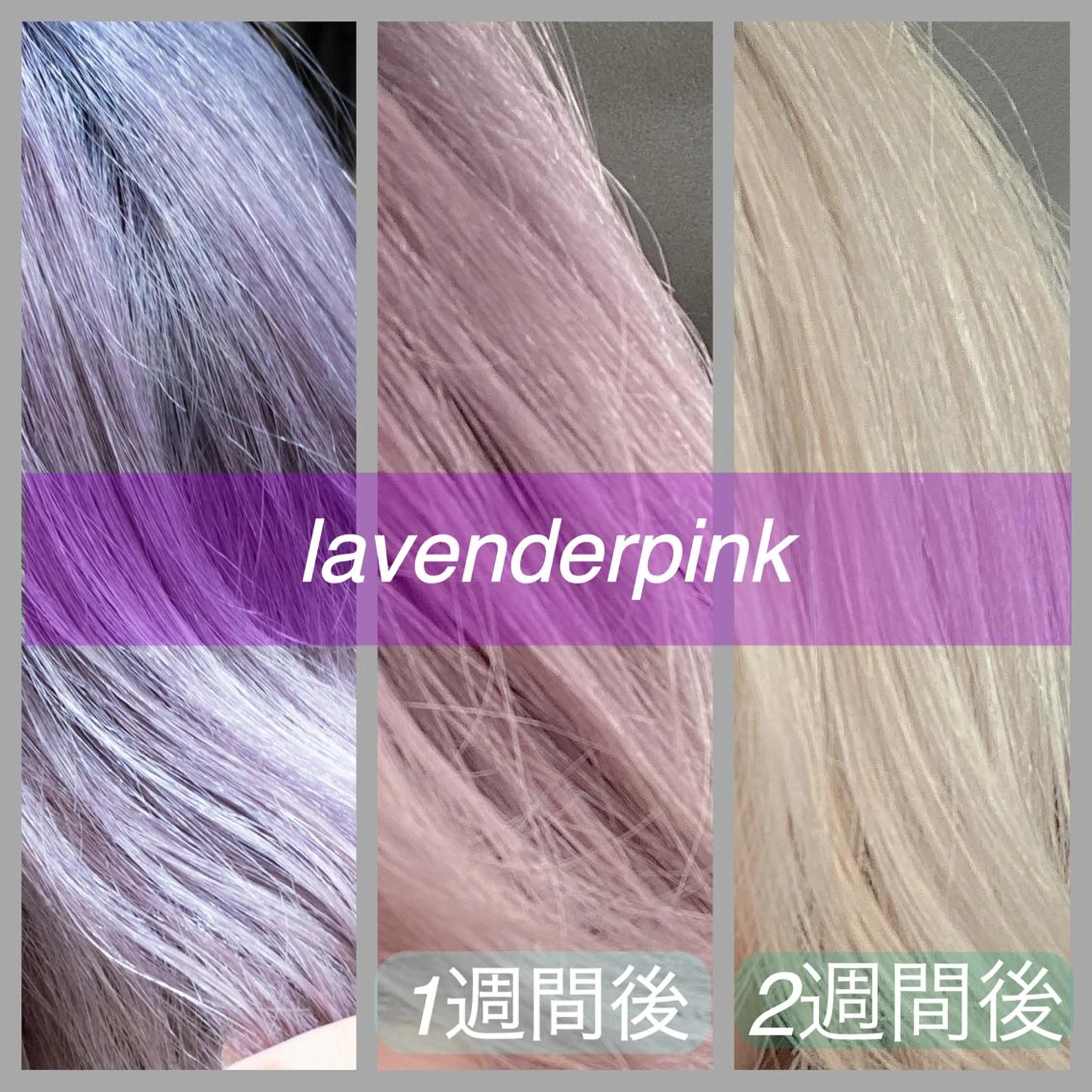 ミディアム ヘアカラー 🦋透明感カラー🦋 CHIHARUのヘアスタイル