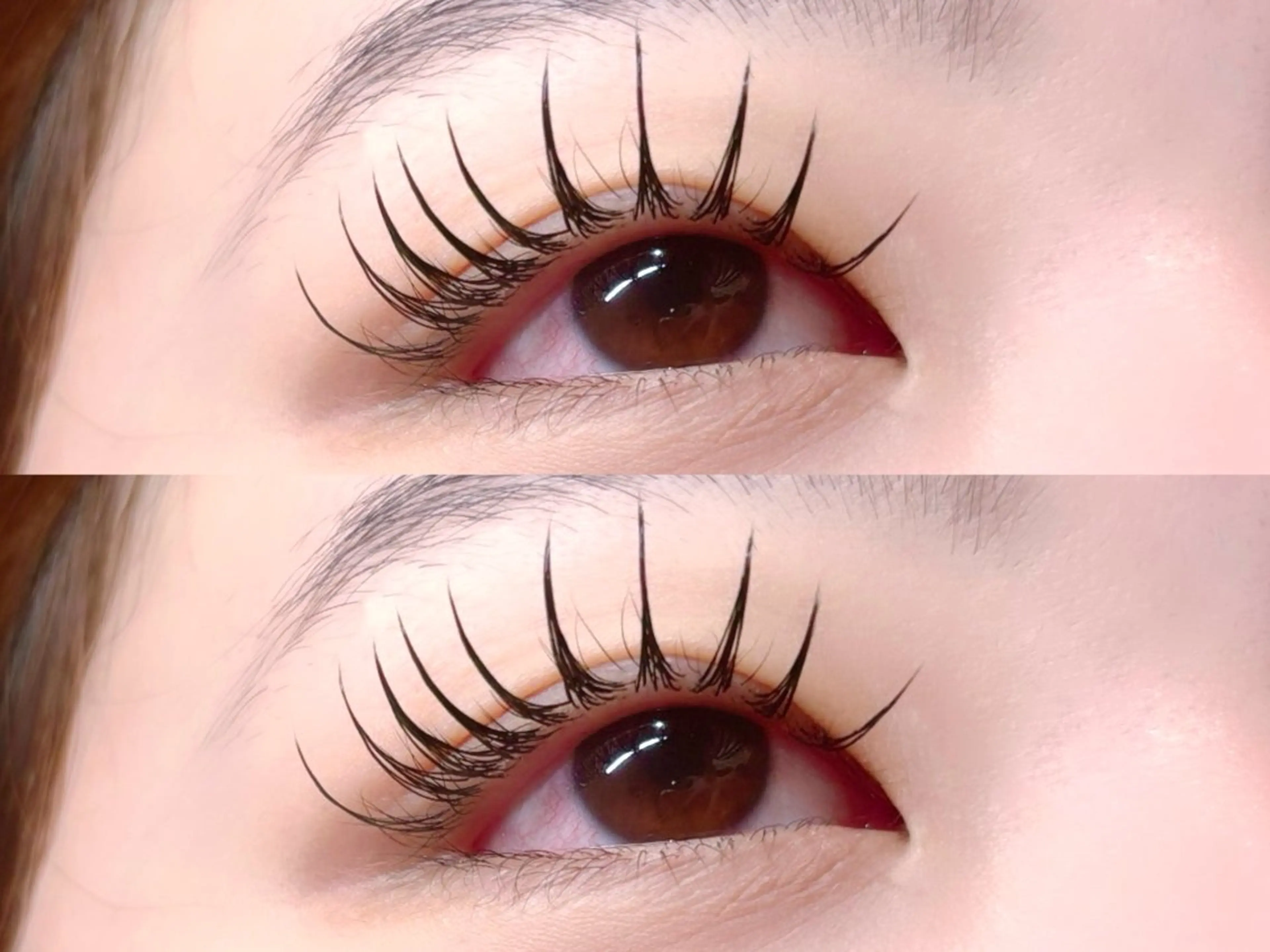 本日限定✨️✨️まつげエクステ付け放題140迄の写真