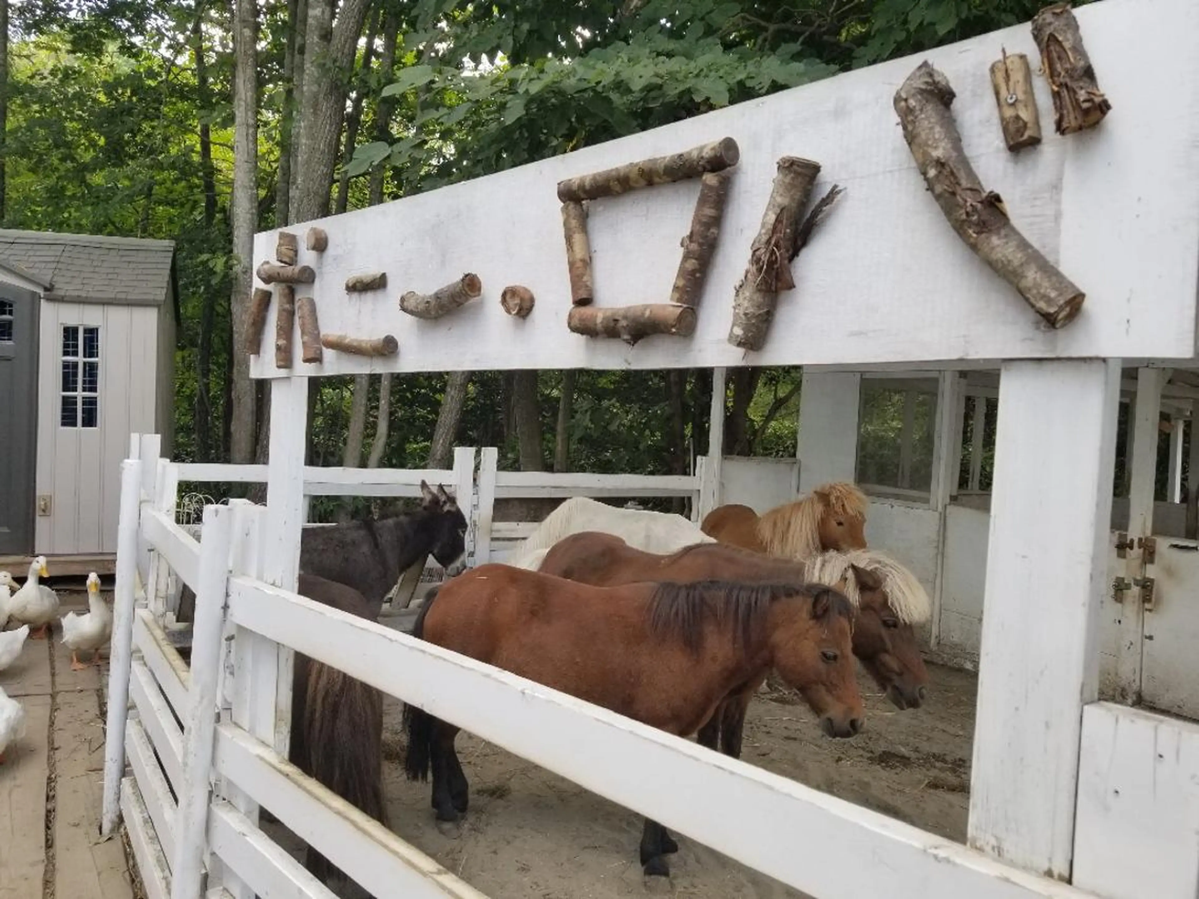 カット 縮毛矯正 トリートメント GIFT所属・谷 結奈のヘアスタイル