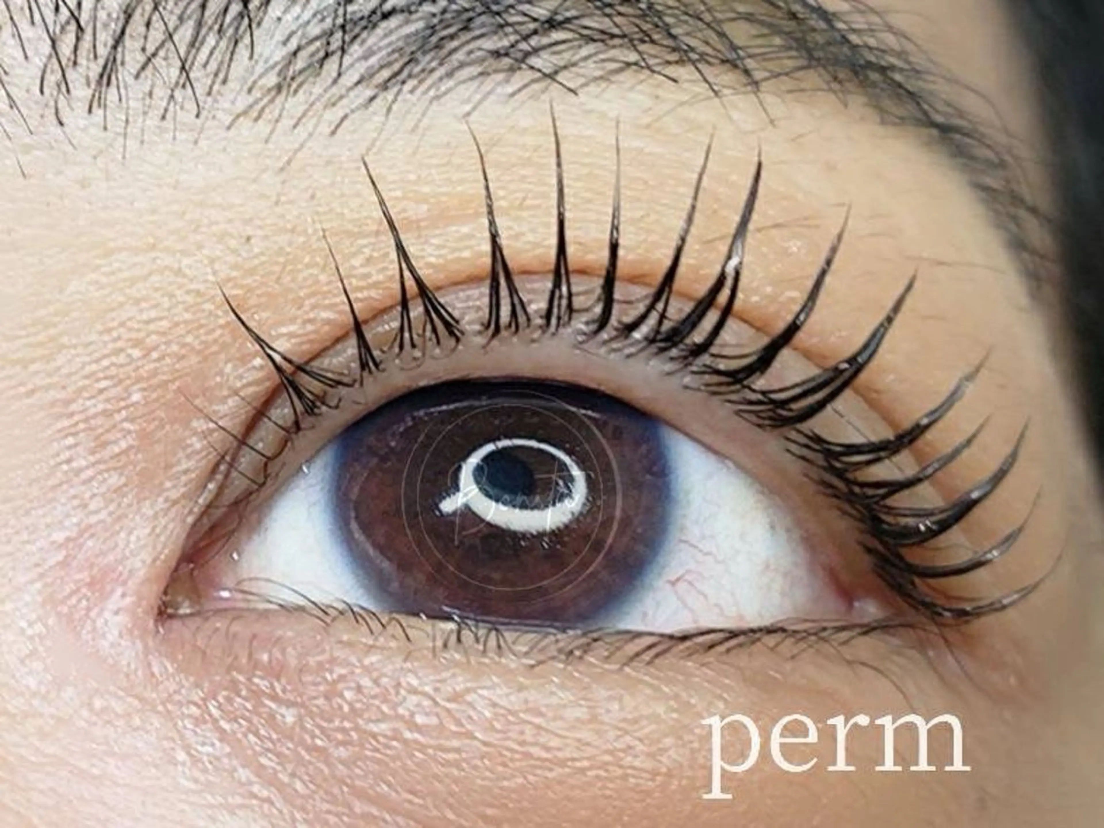 マツエク・マツパ 一重×まつ毛パーマ bonita所属・山本 マツゲのマツエク・マツパデザイン