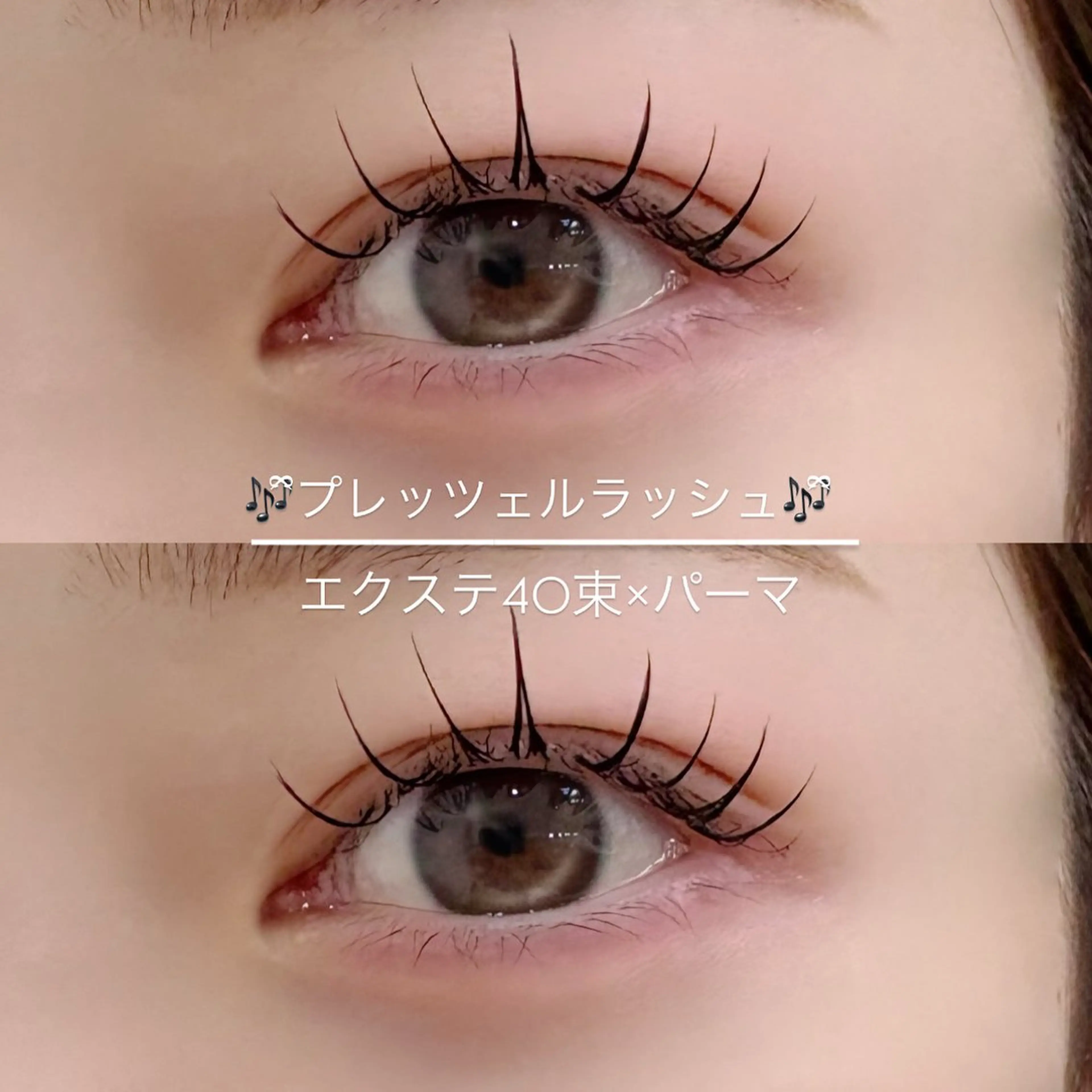 【エクステ×まつげパーマ】プレッツェルラッシュ40束  ￥4980の写真