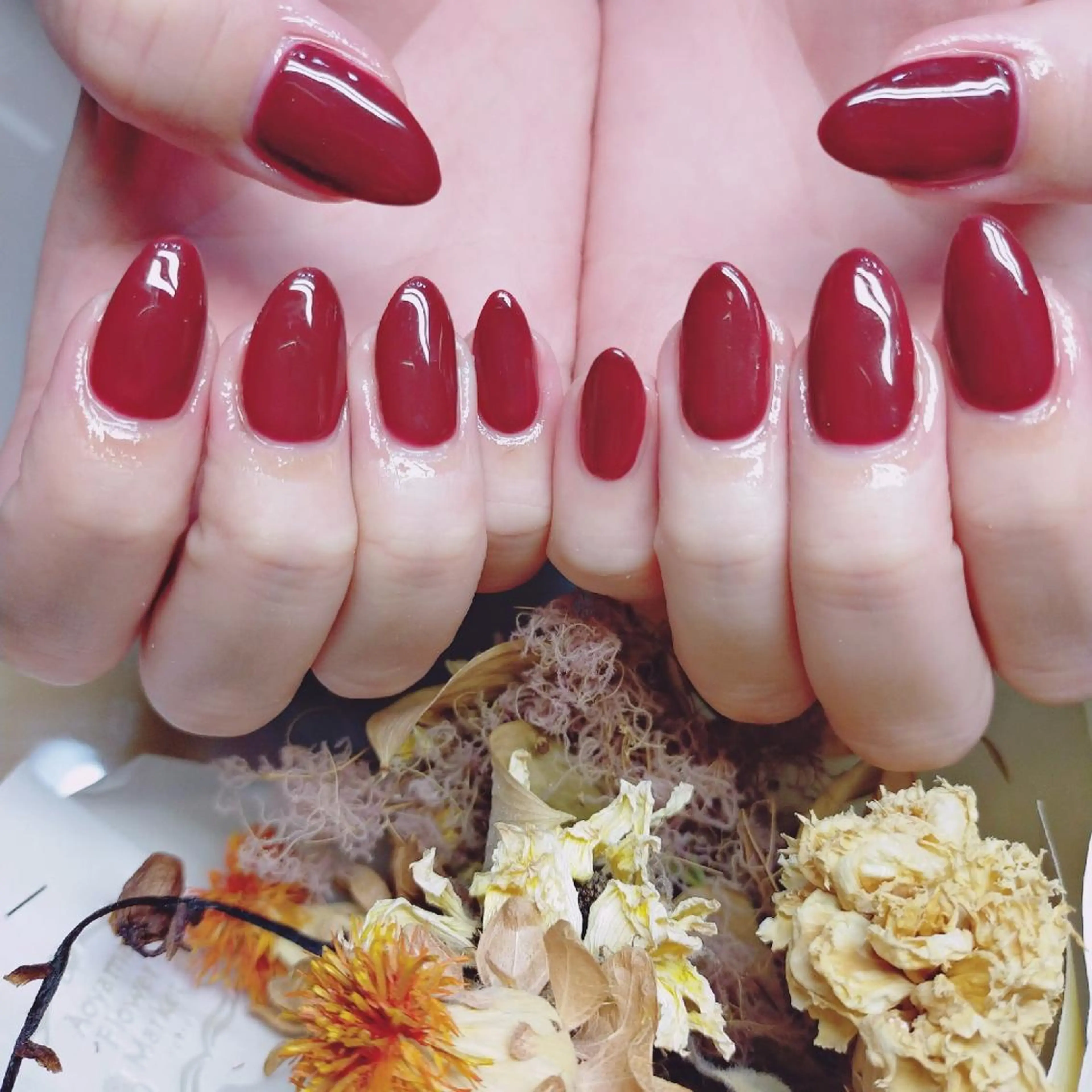 ネイル 森 ネイルサロンのネイルデザイン