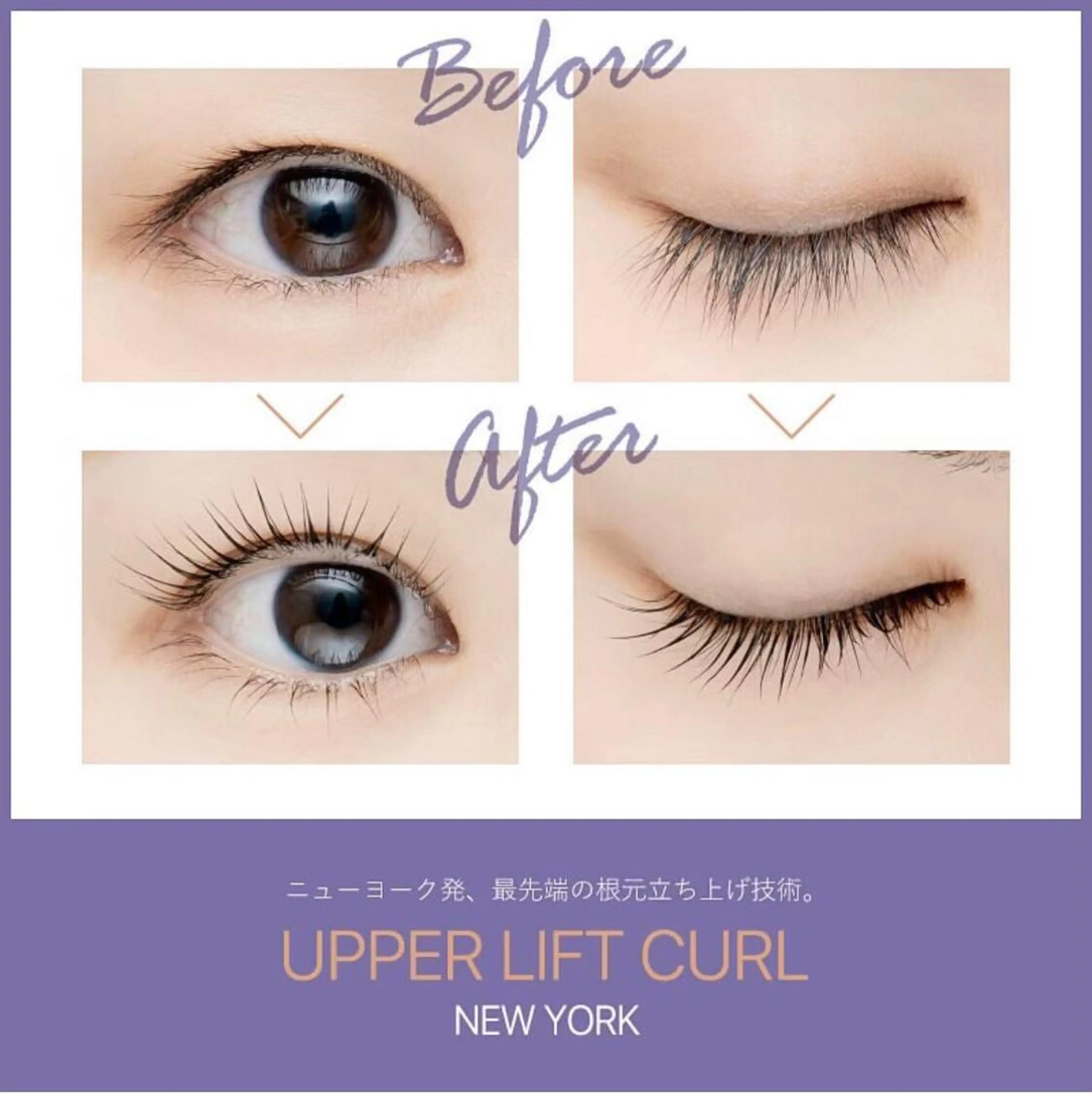 アッパーリフトカールの写真