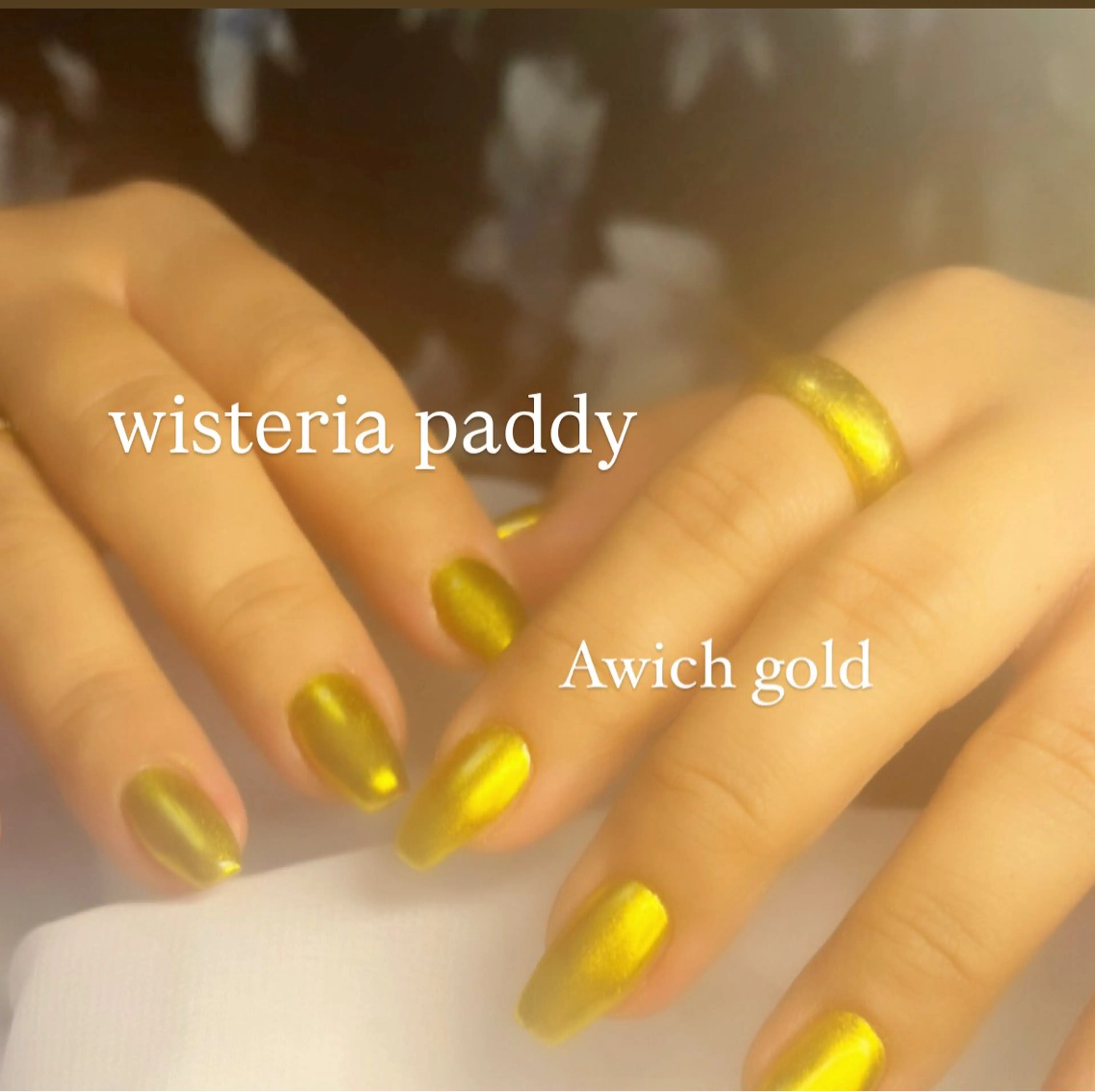 ネイル Wisteria Paddyのネイルデザイン