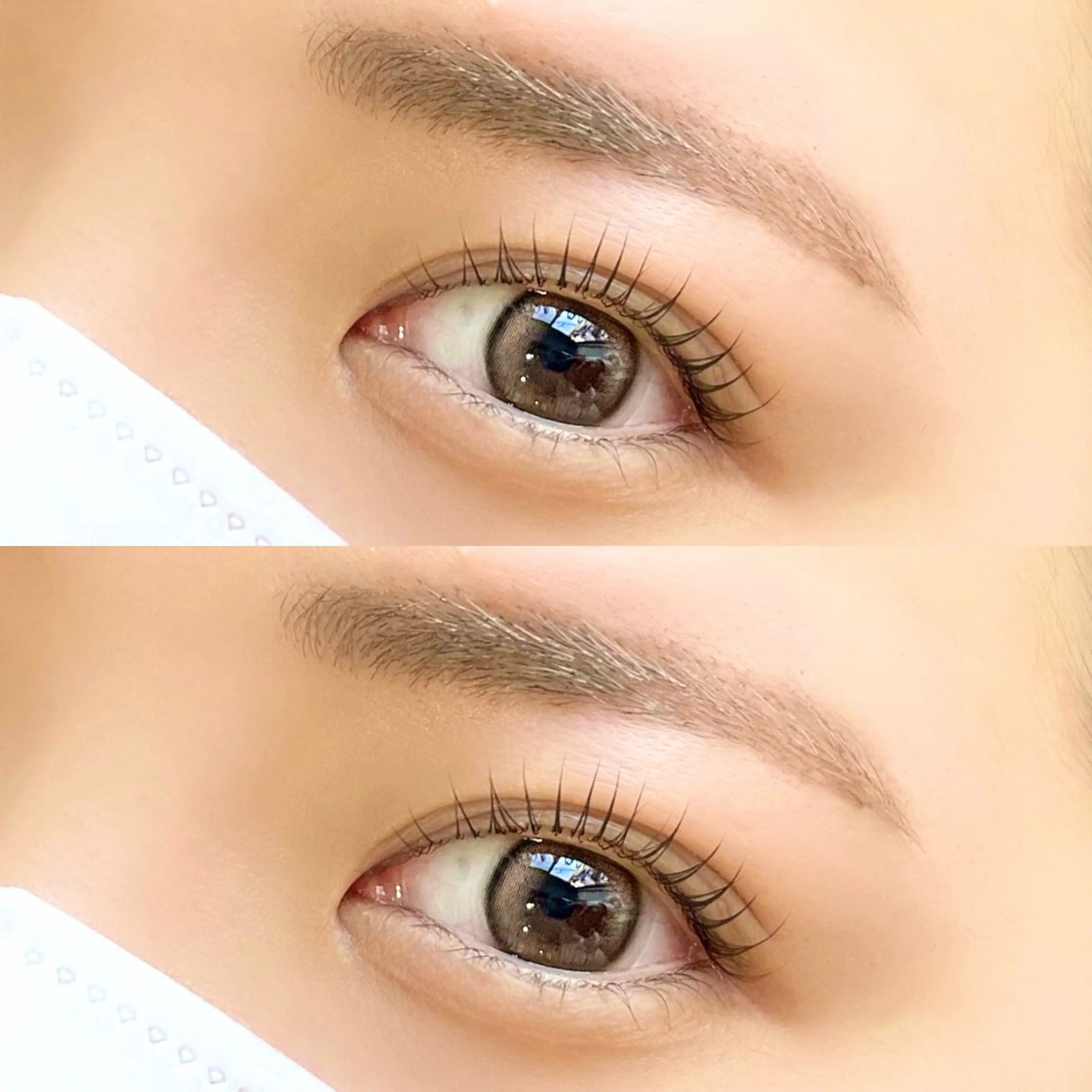 【ミニモ限定価格🎀】パリジェンヌラッシュリフト×美眉アイブロウWaxの写真