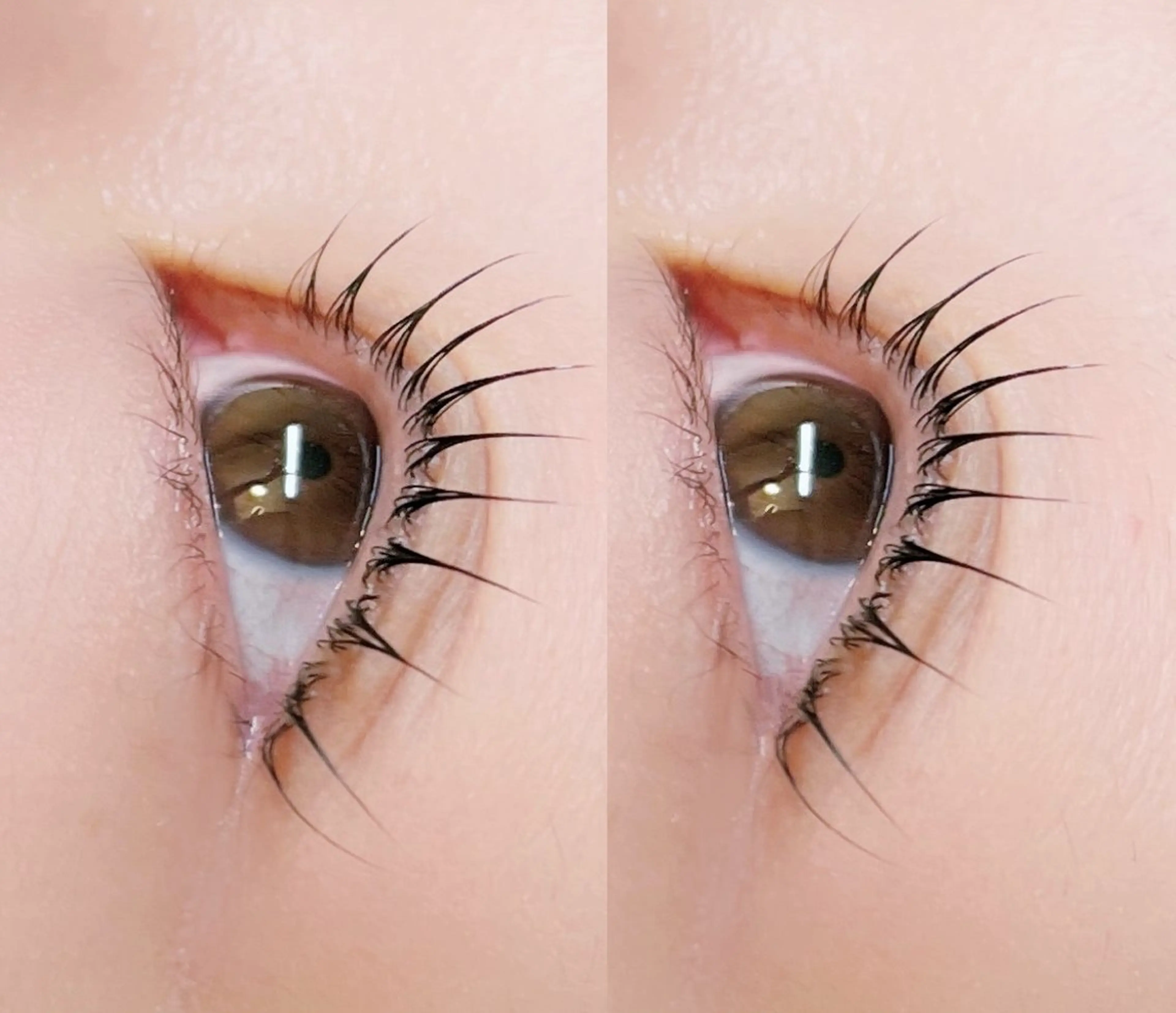 ブラックティント＋韓国風ラッシュリフト(90分)の写真