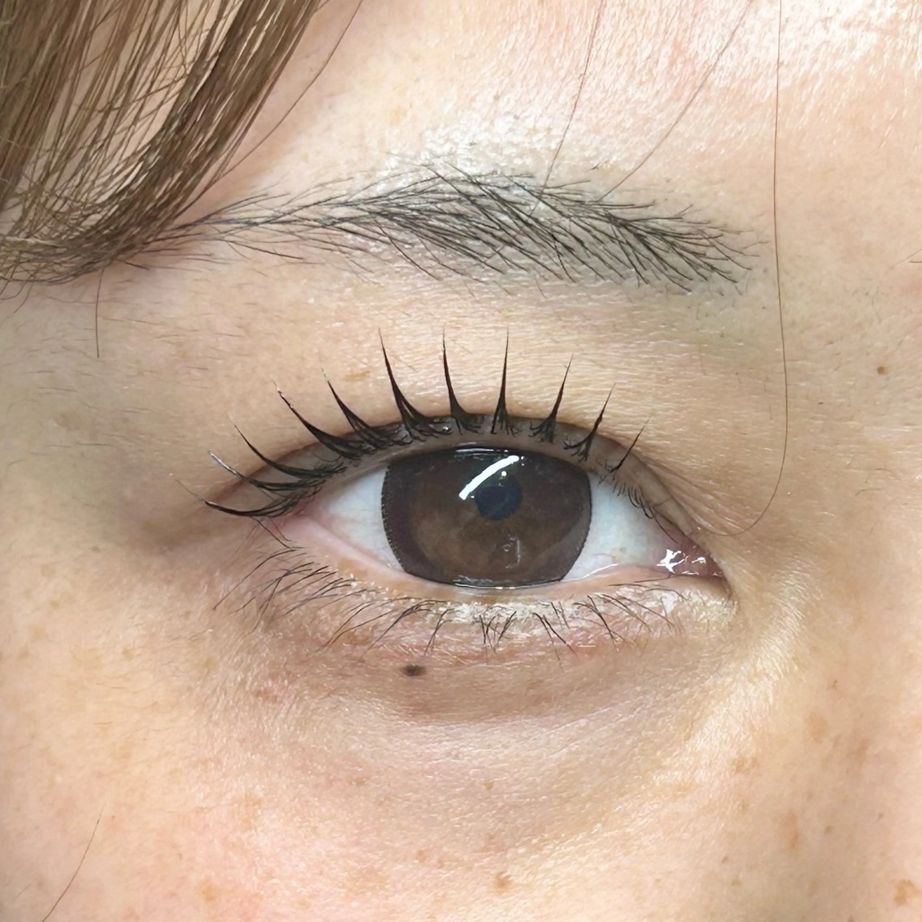 まつげパーマ／パリジェンヌ🍑の写真