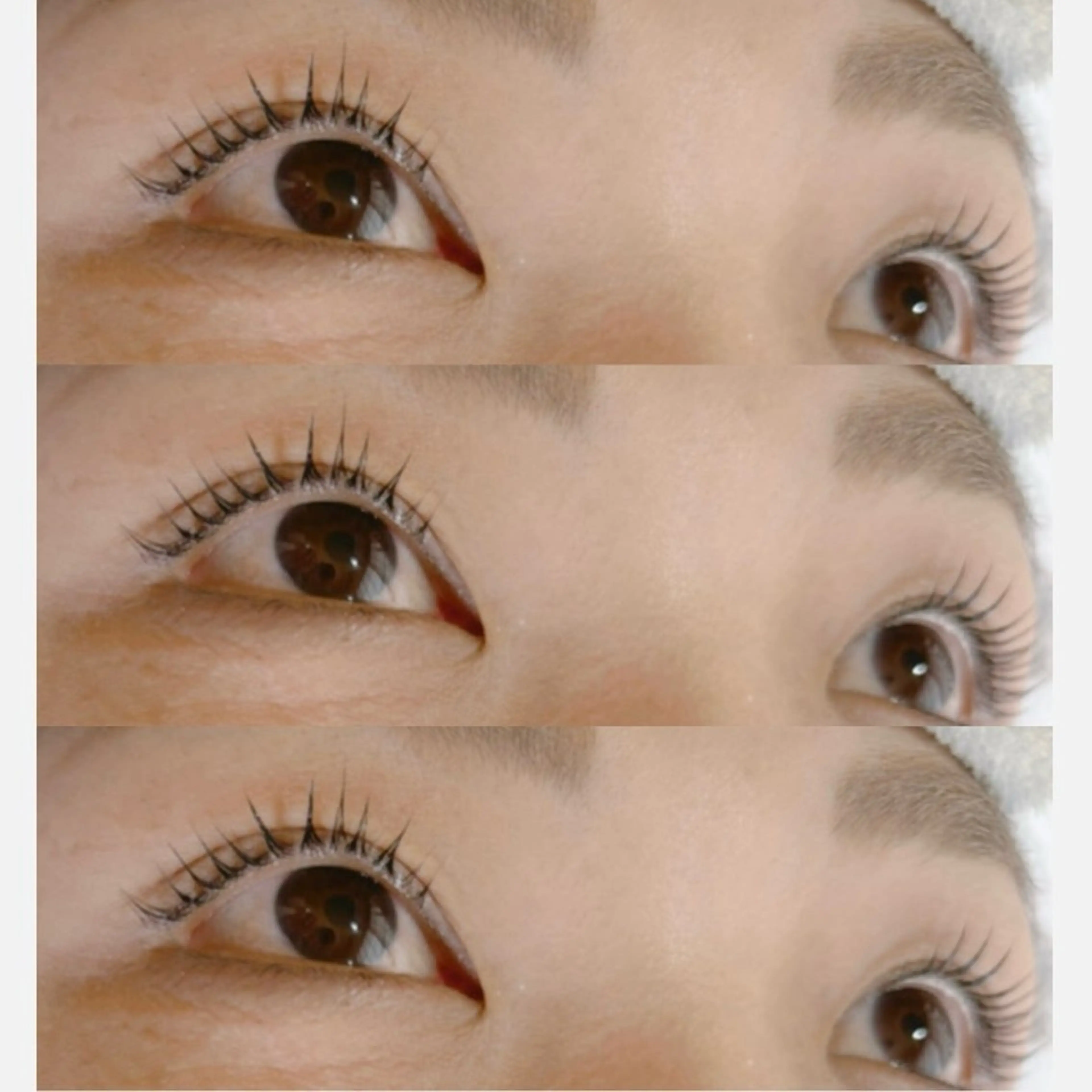 🩶リピーター様🩶‬(選べるまつ毛パーマ)立ち上げ、ナチュラルなどお好みのカール🪄 ｡:*コーティング込み🫧の写真