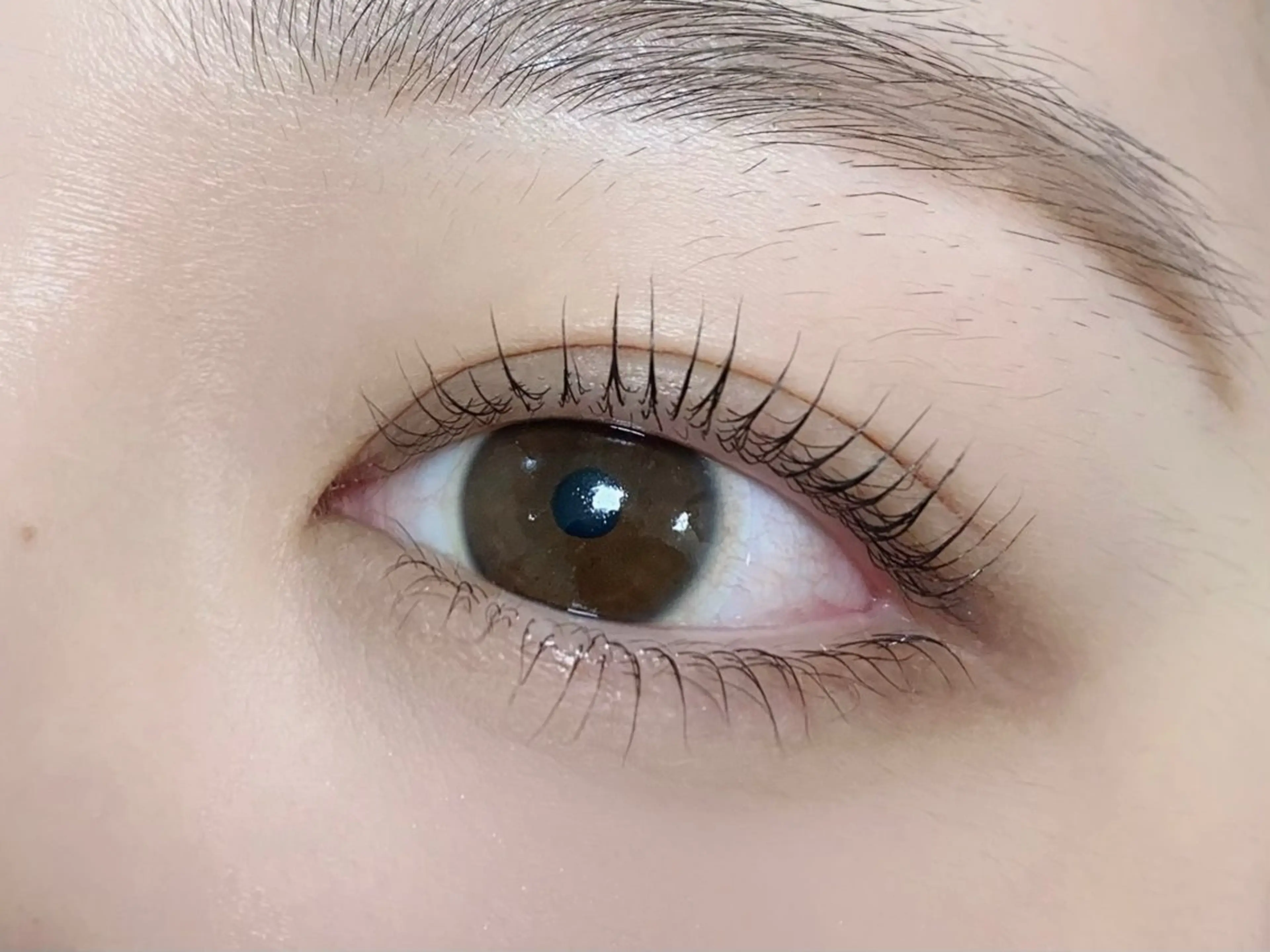 【大人気】上下ラッシュリフト★ ＋コーティング付の写真