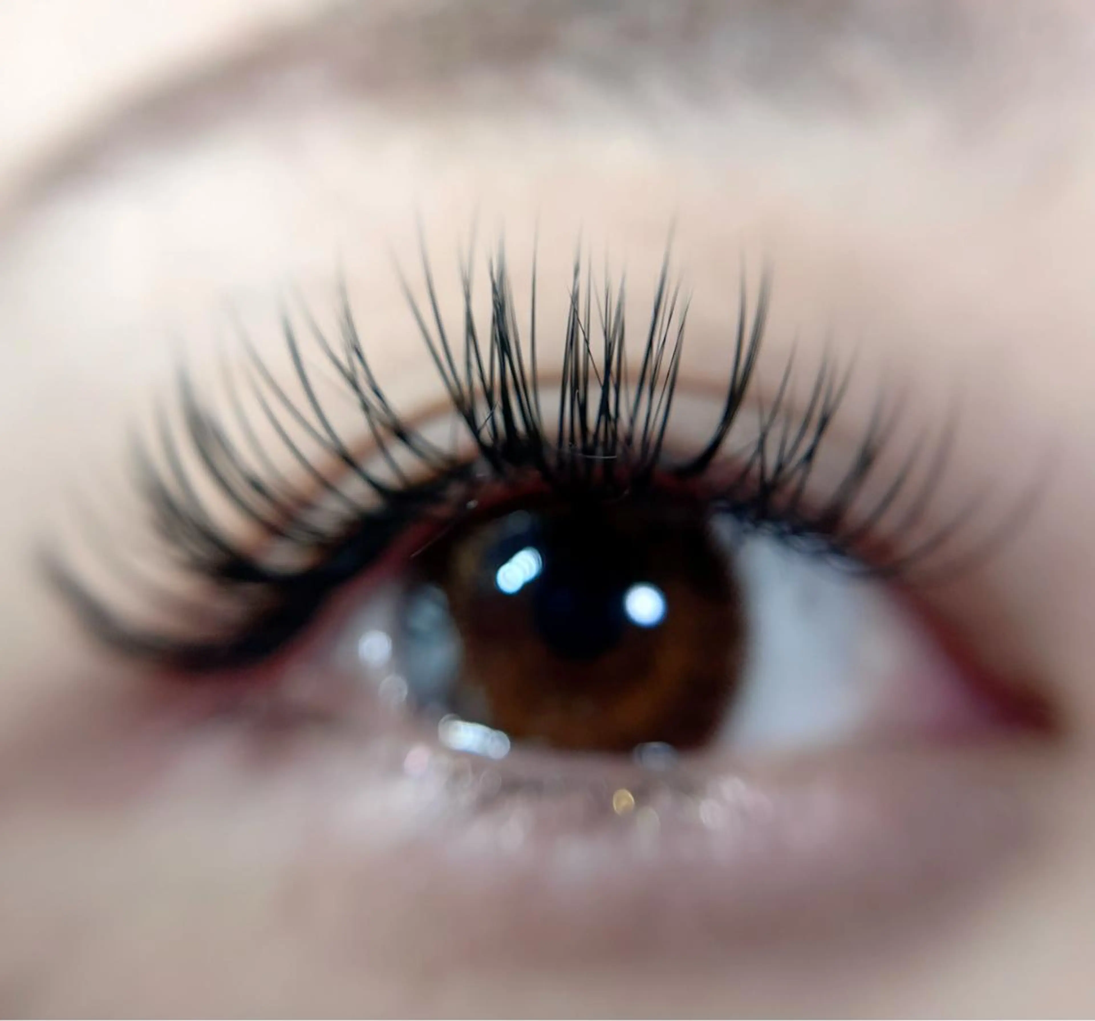 フラットラッシュ120本6500円の写真