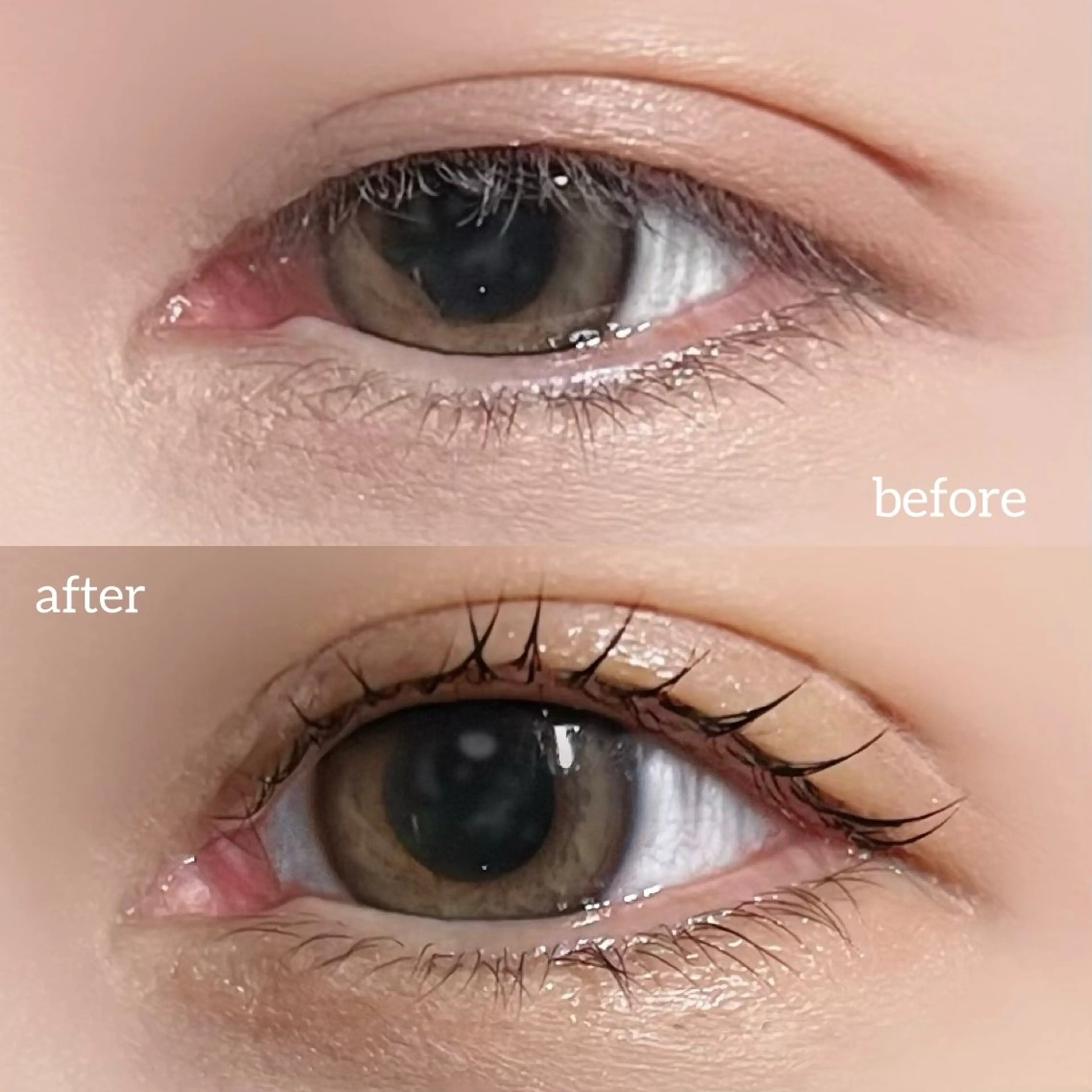 マツエク・マツパ 垢抜け眉WAX専門 ちゅるんまつげ|鎌倉の眉毛・アイブロウイメージ