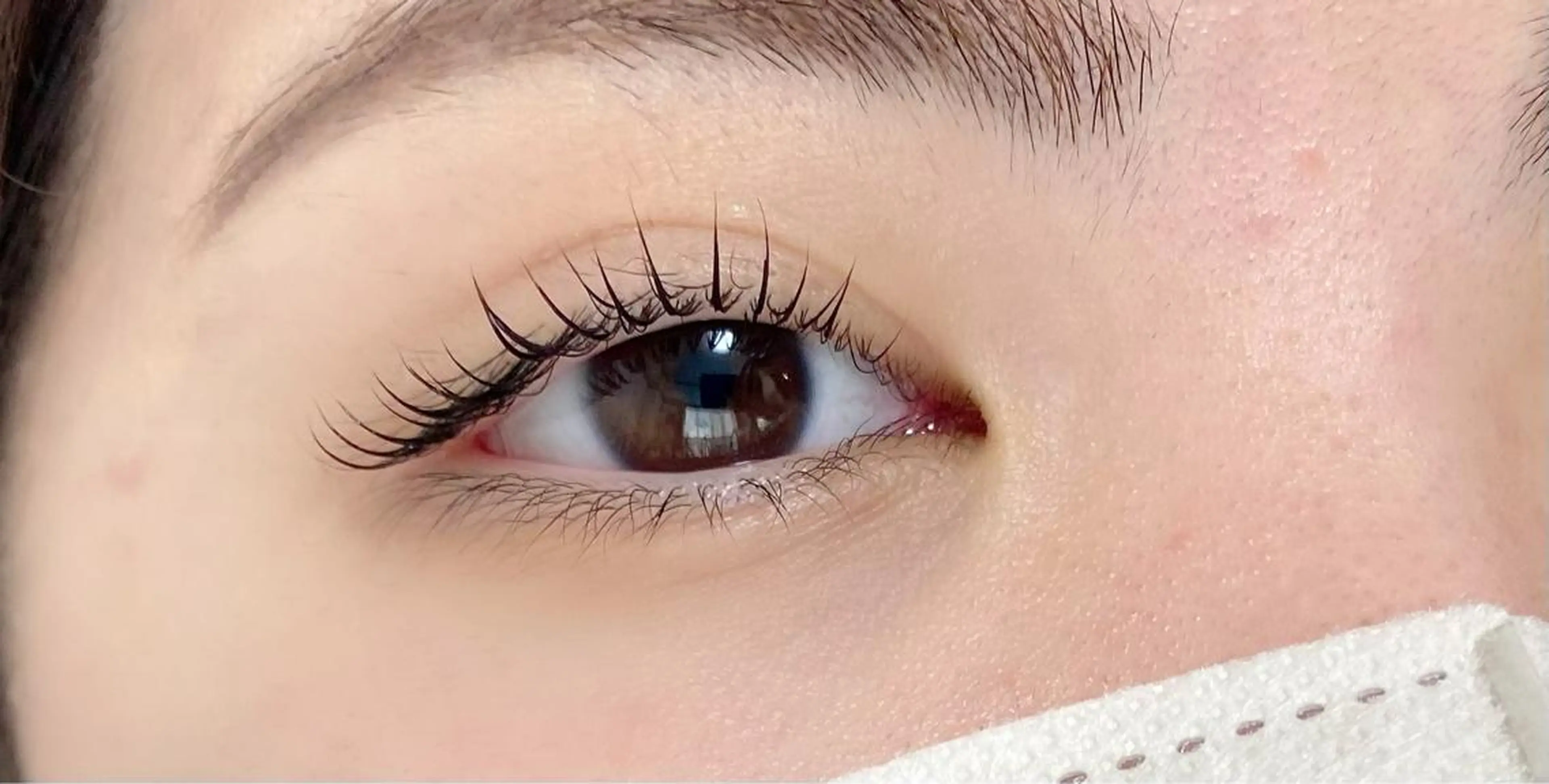 マツエク・マツパ 【那覇/束感まつ毛】 ｷｬﾒﾙのマツエク・マツパデザイン