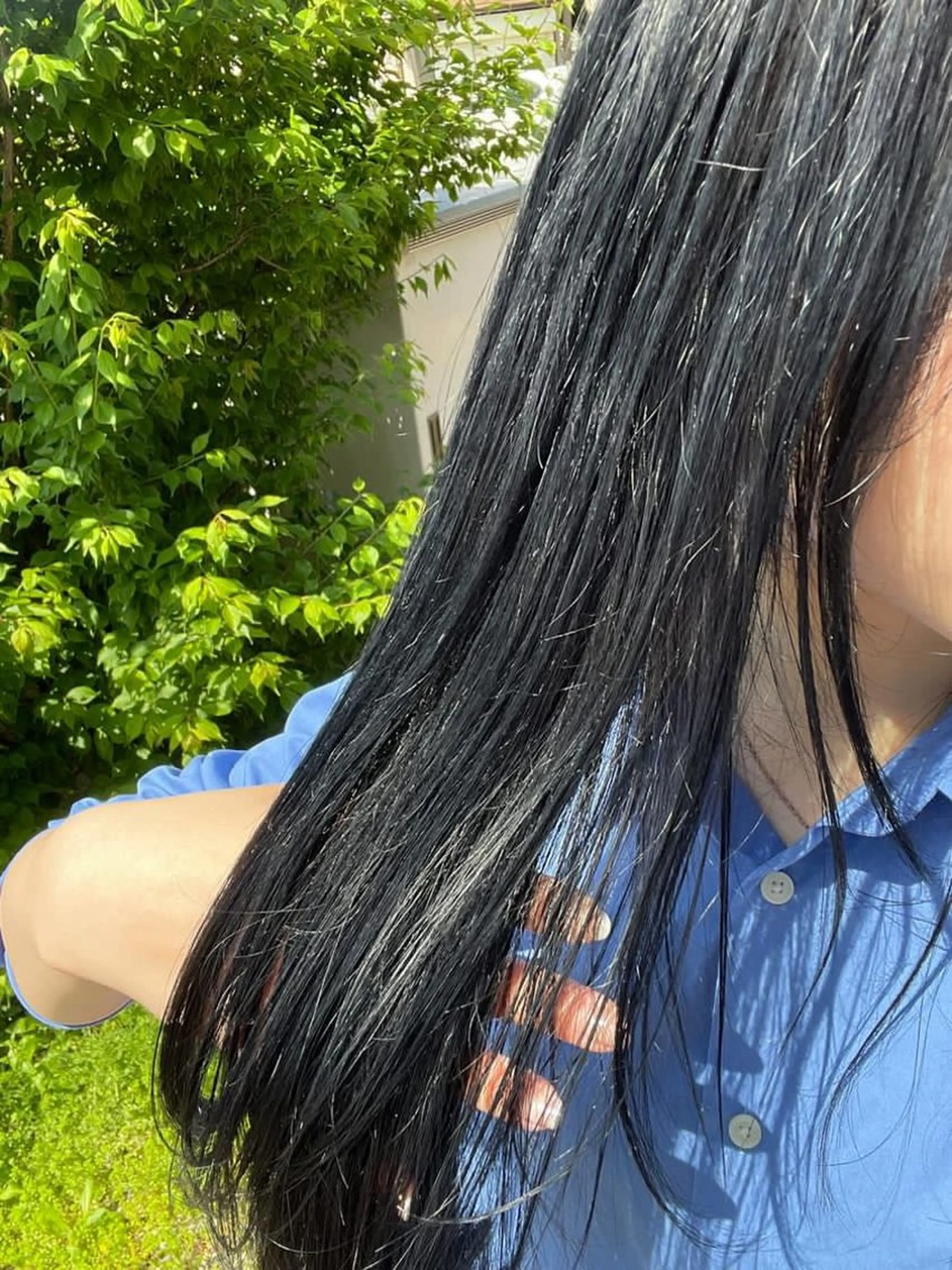 💙寒色カラー限定💜　【ワンカラー】ブルーブラック/ラベンダー/ラベンダーブラウンの写真