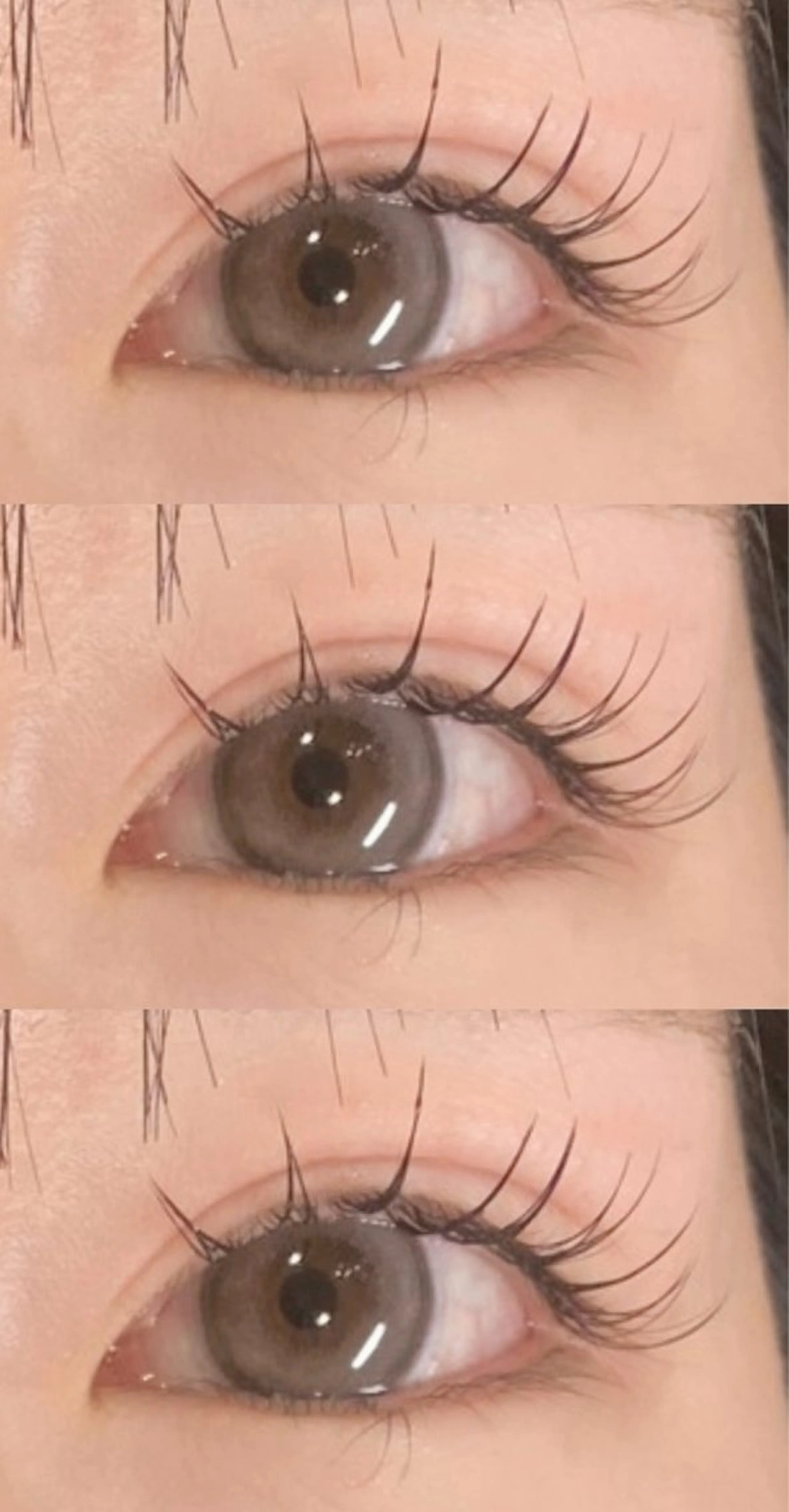 フラットラッシュ🎀140本(オフ込み、コーティング付き)の写真