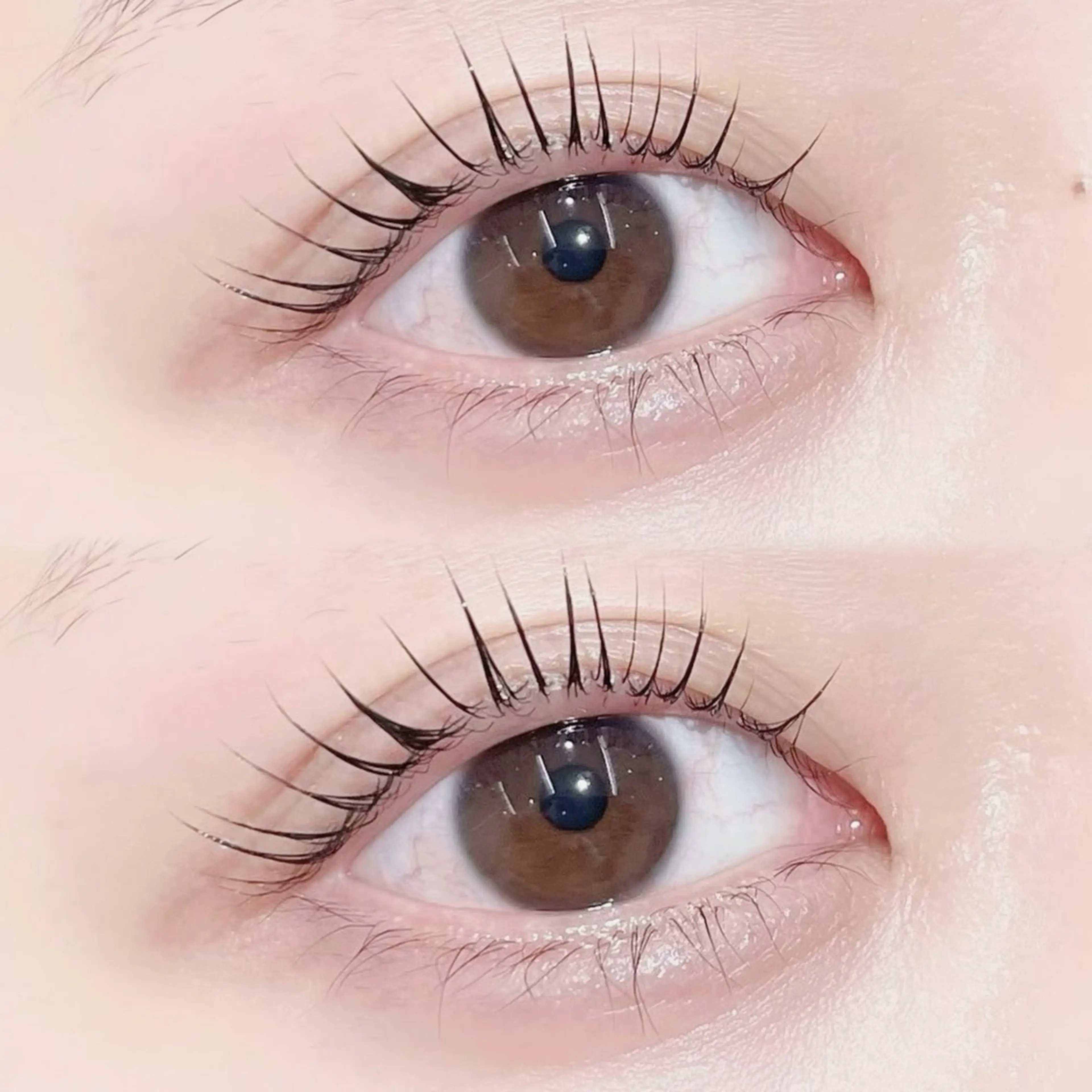 【ミニモ学割✨️】デザインラッシュリフト🤍仕上げコーティングつき🪄◝✩の写真