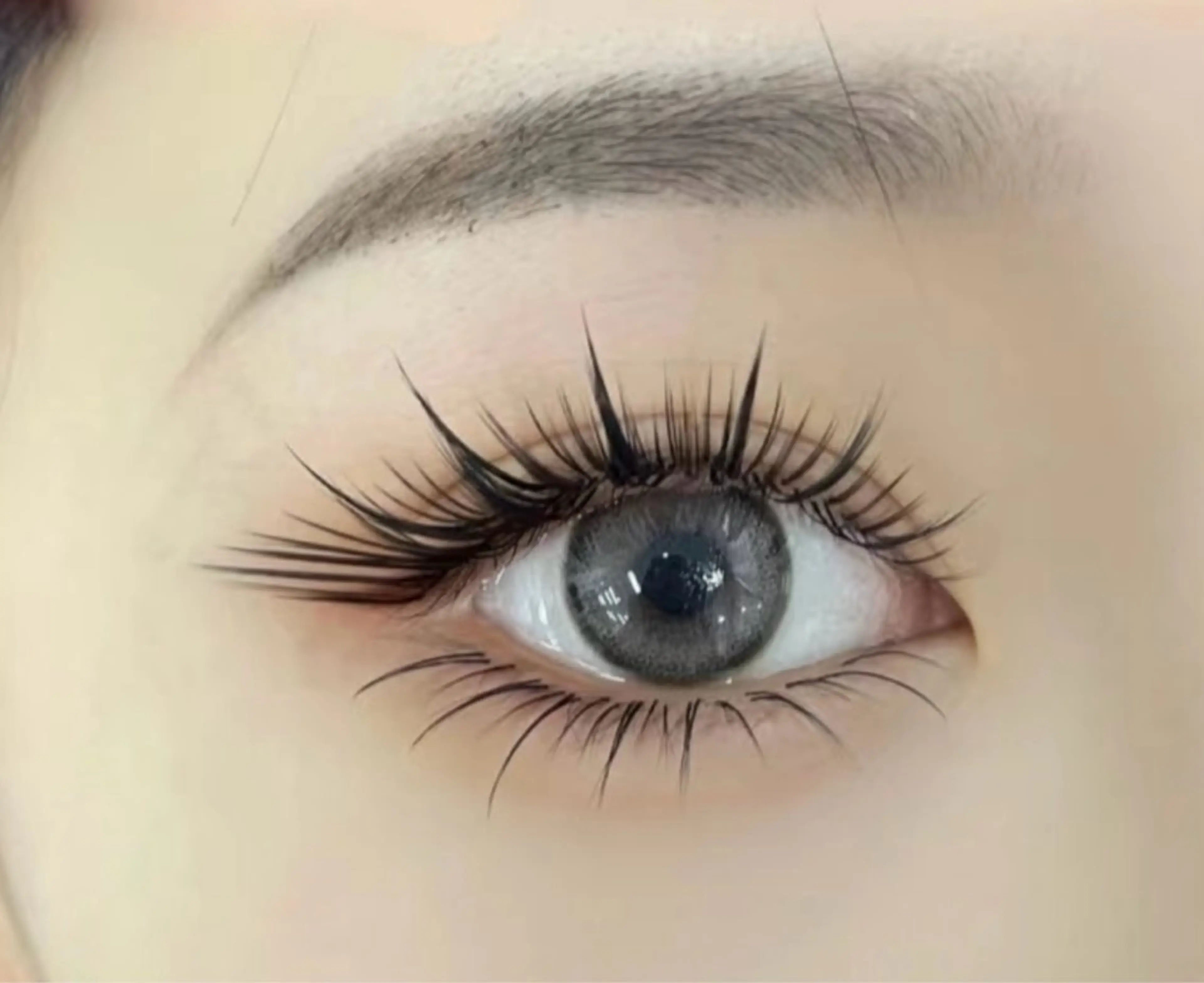 【猫系ワンホン】ボリュームラッシュナチュラル¥5990円の写真