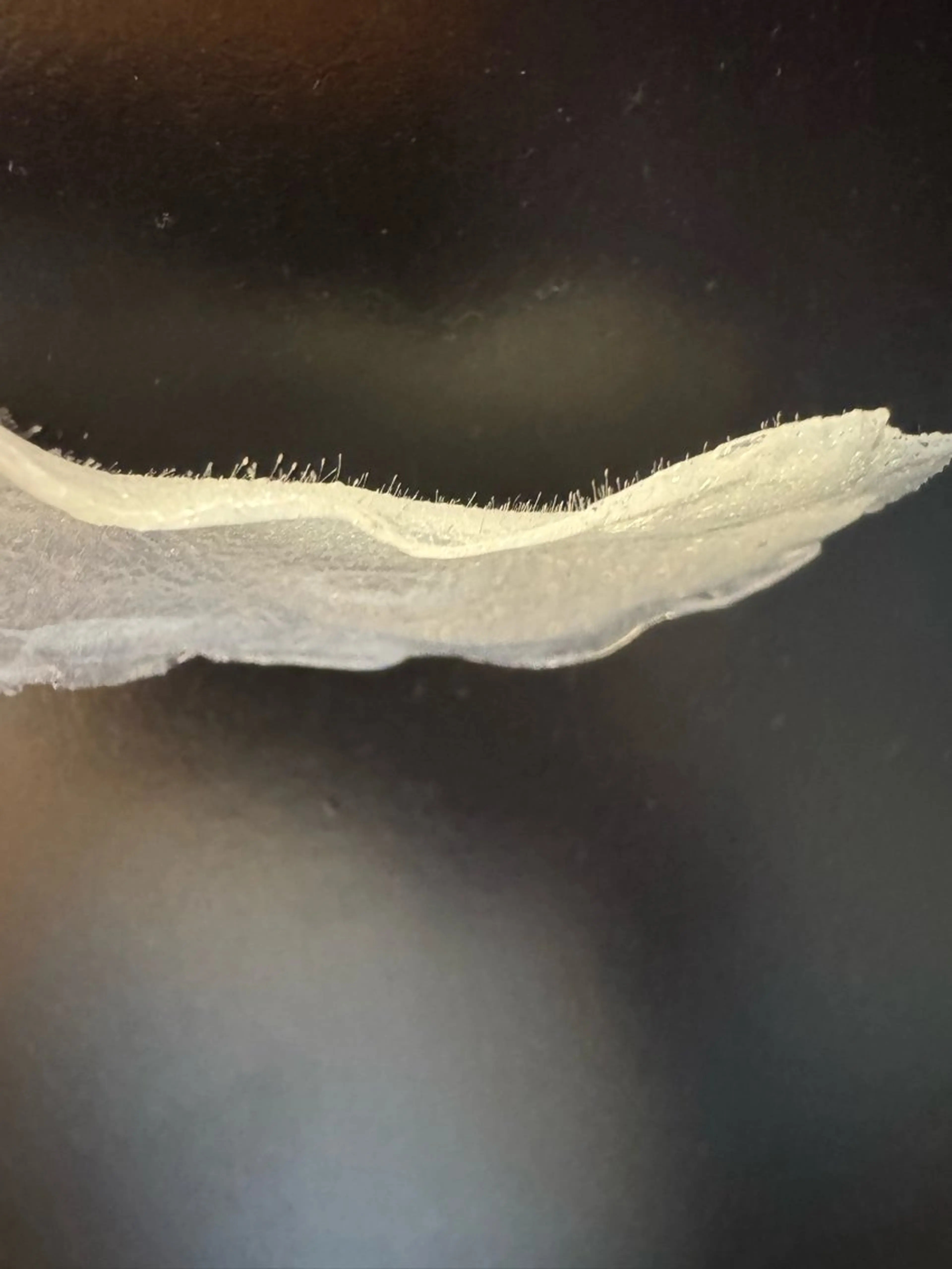 エステ グランジュテ所属・グランジュテ グランジュテのエステ・リラクイメージ