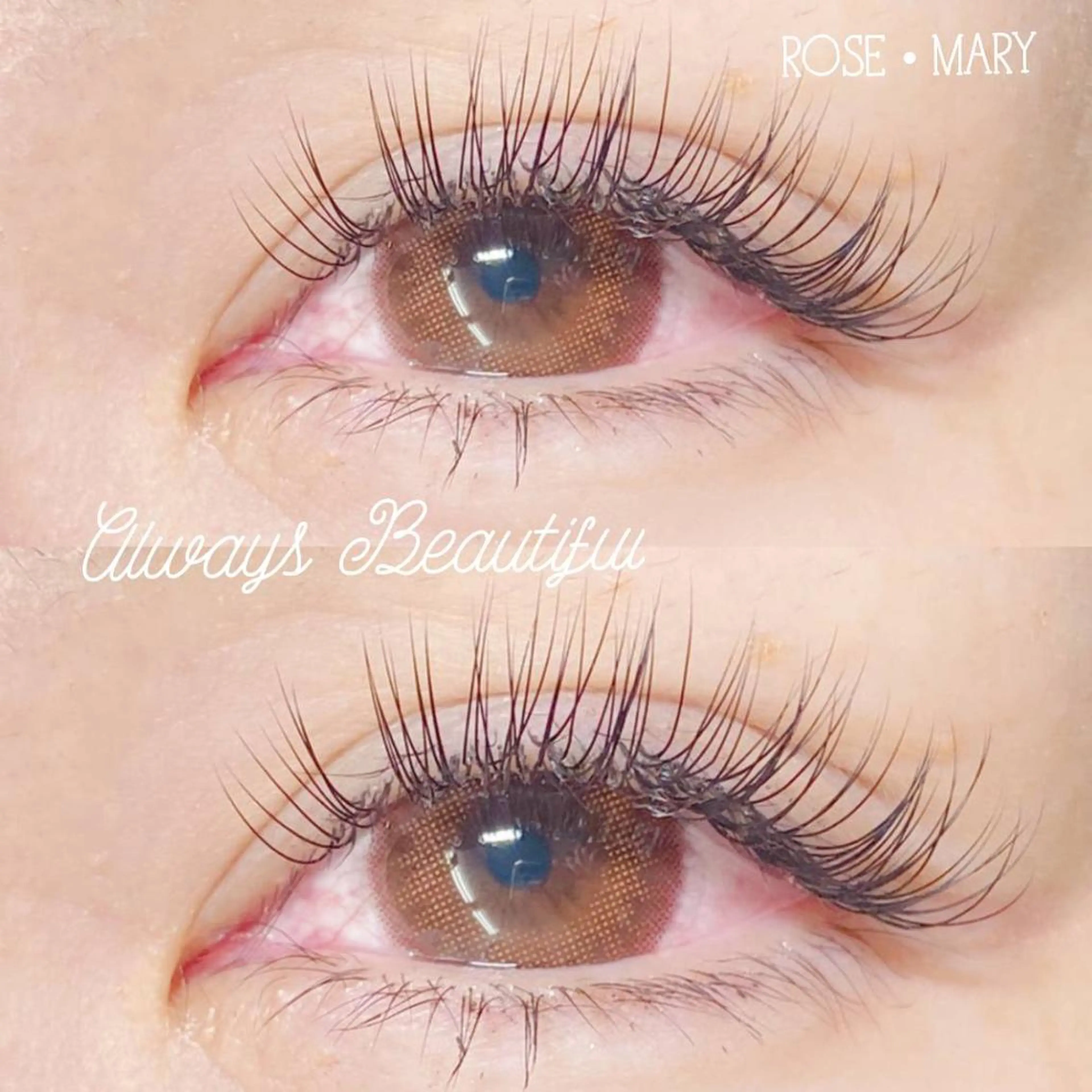 セーブルラッシュ🥀付け放題の写真