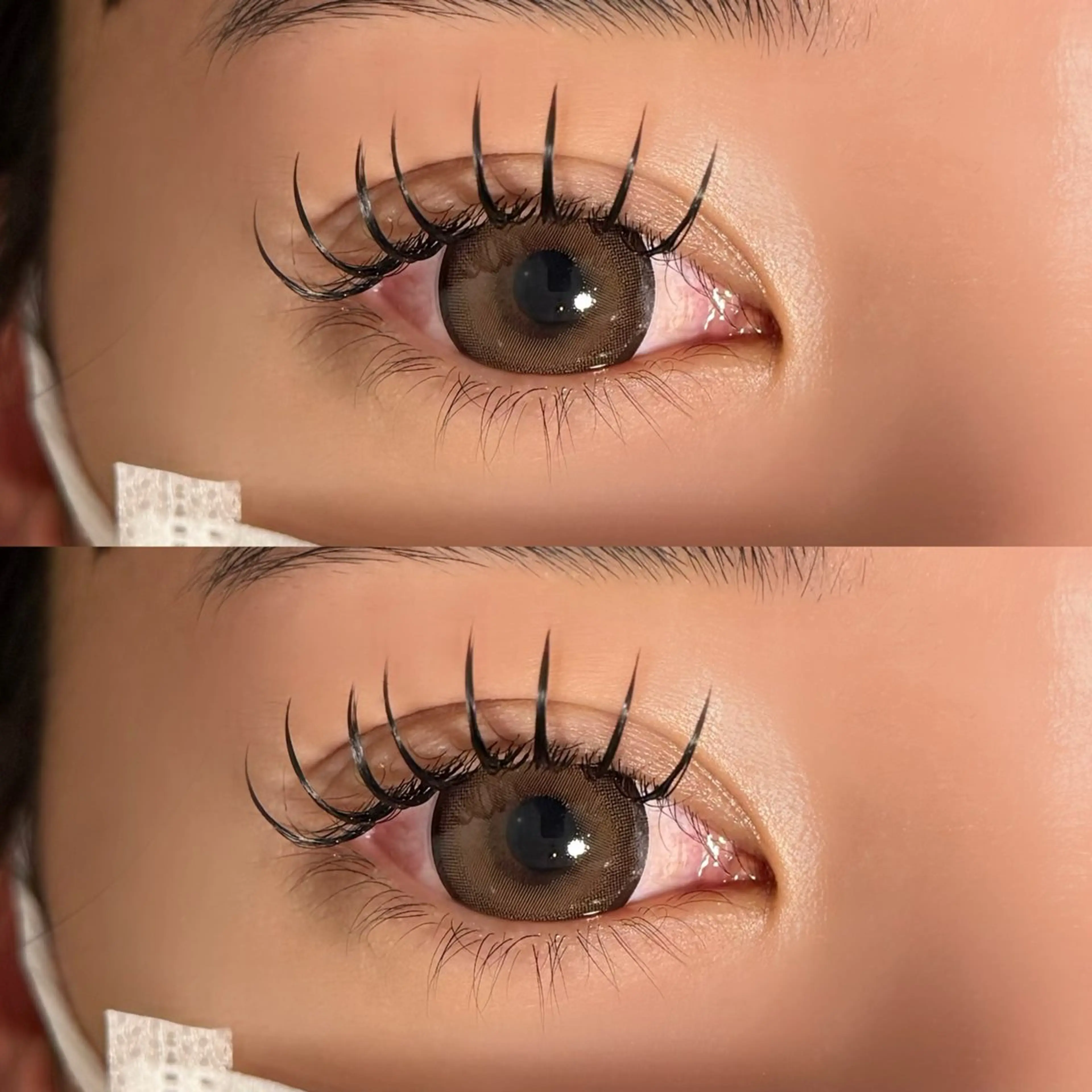 マツエク・マツパ マツエク 🐾ROAR🐾 HAZUKIのマツエク・マツパデザイン