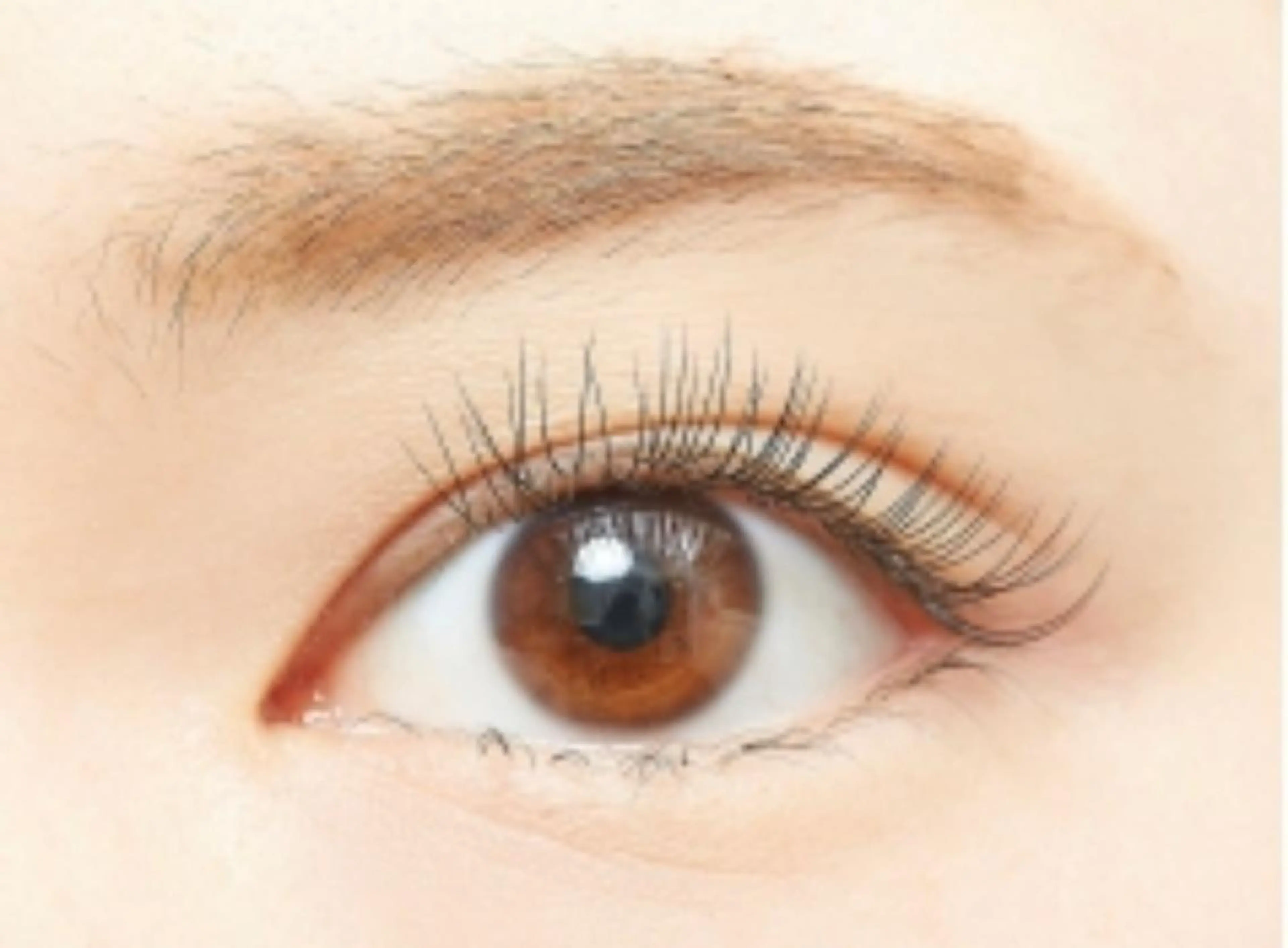 マツエク・マツパ マツエク 【LEGA 志木】 Kodamaのマツエク・マツパデザイン