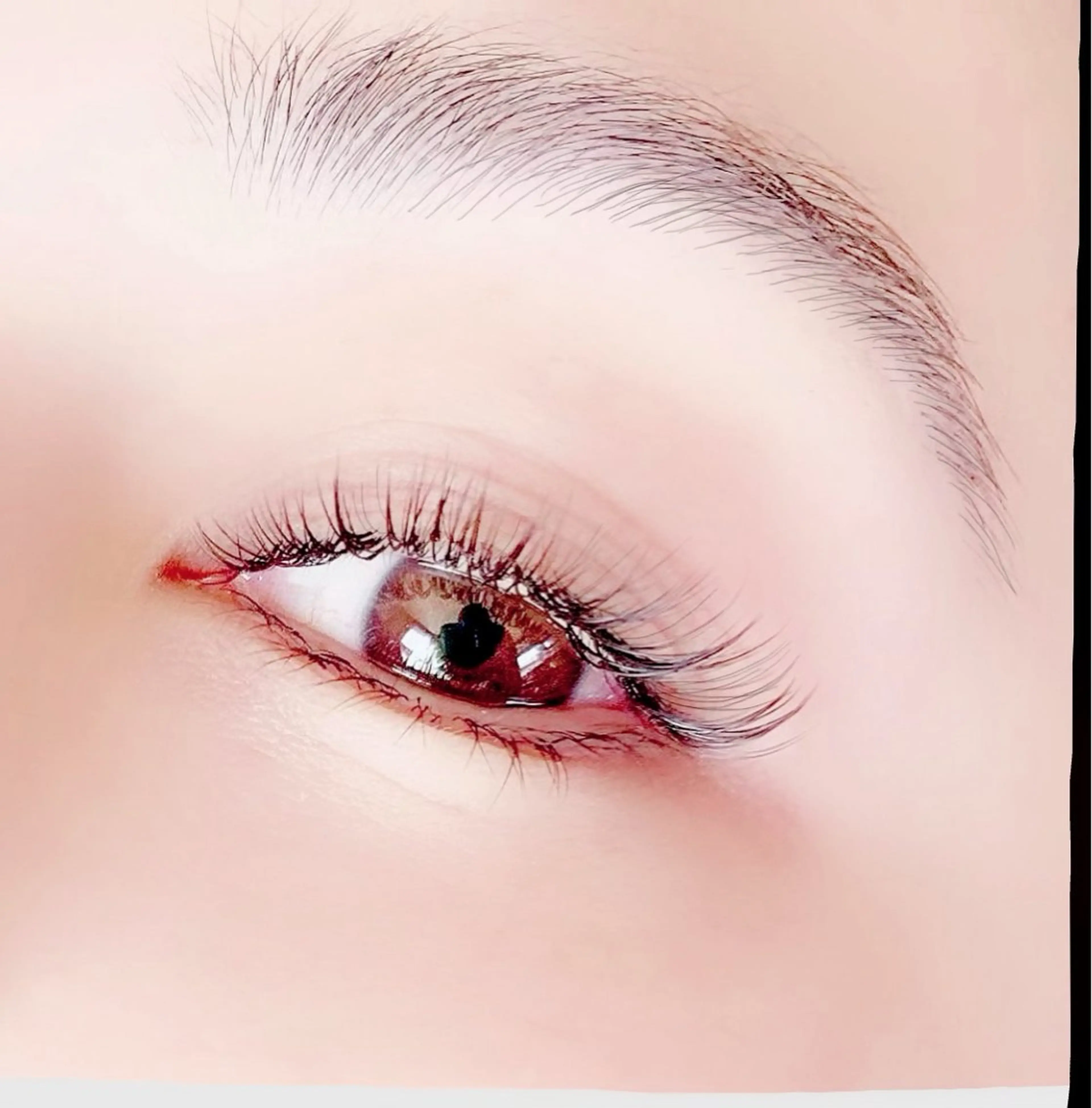 👩🏼🎨🕊️✨アイブロウデザインWAXand最新LEDフラットラッシュ60分付け放題😊✨の写真