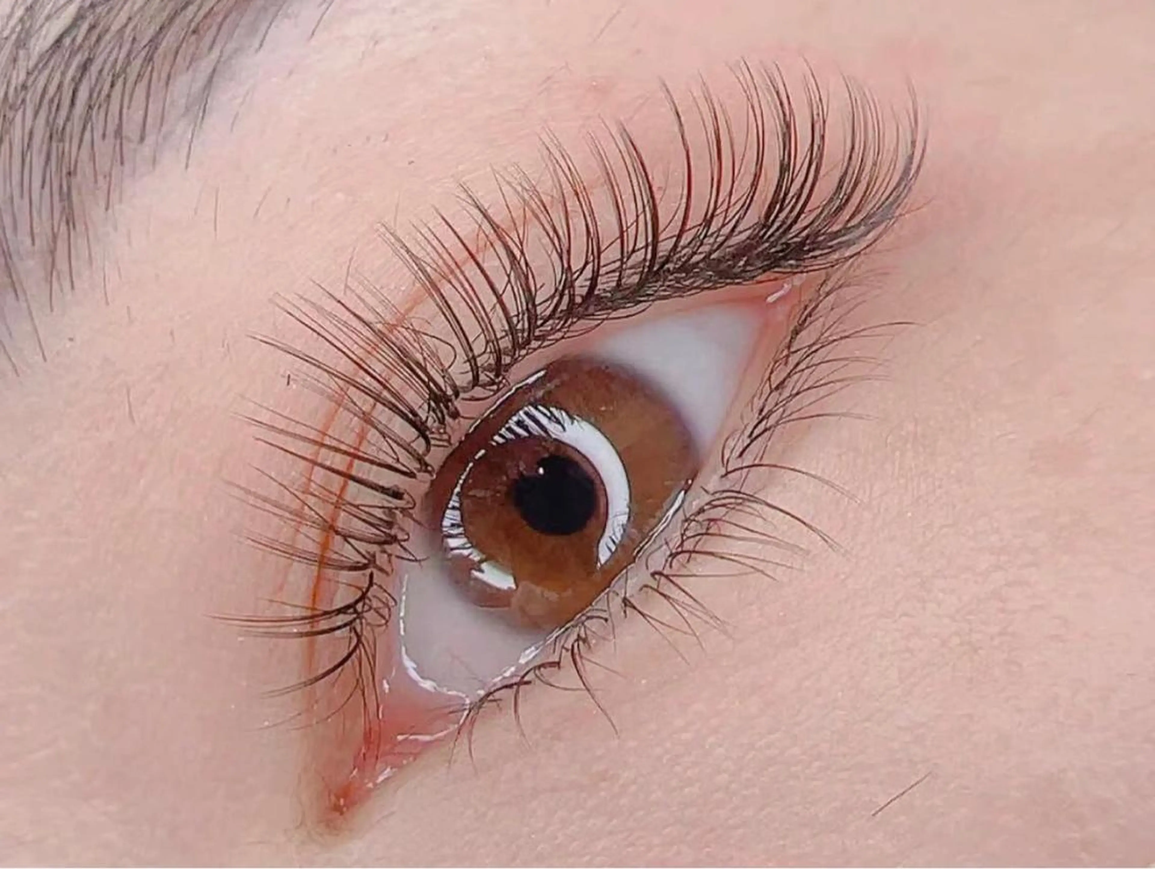 マツエク・マツパ マツエク An beauty2のマツエク・マツパデザイン