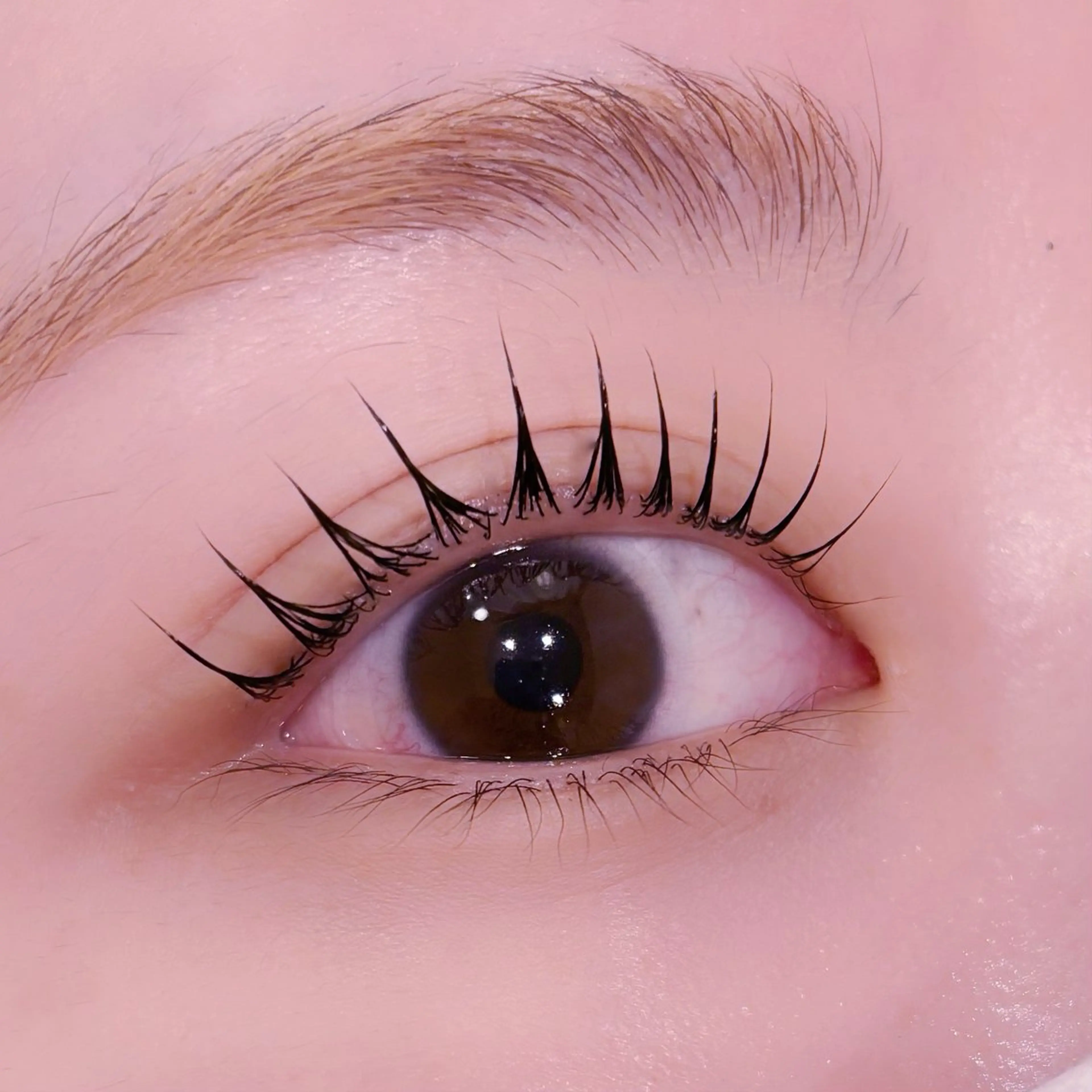 マツエク・マツパ pono大宮東口店 店長🩰AOHA🩰のマツエク・マツパデザイン