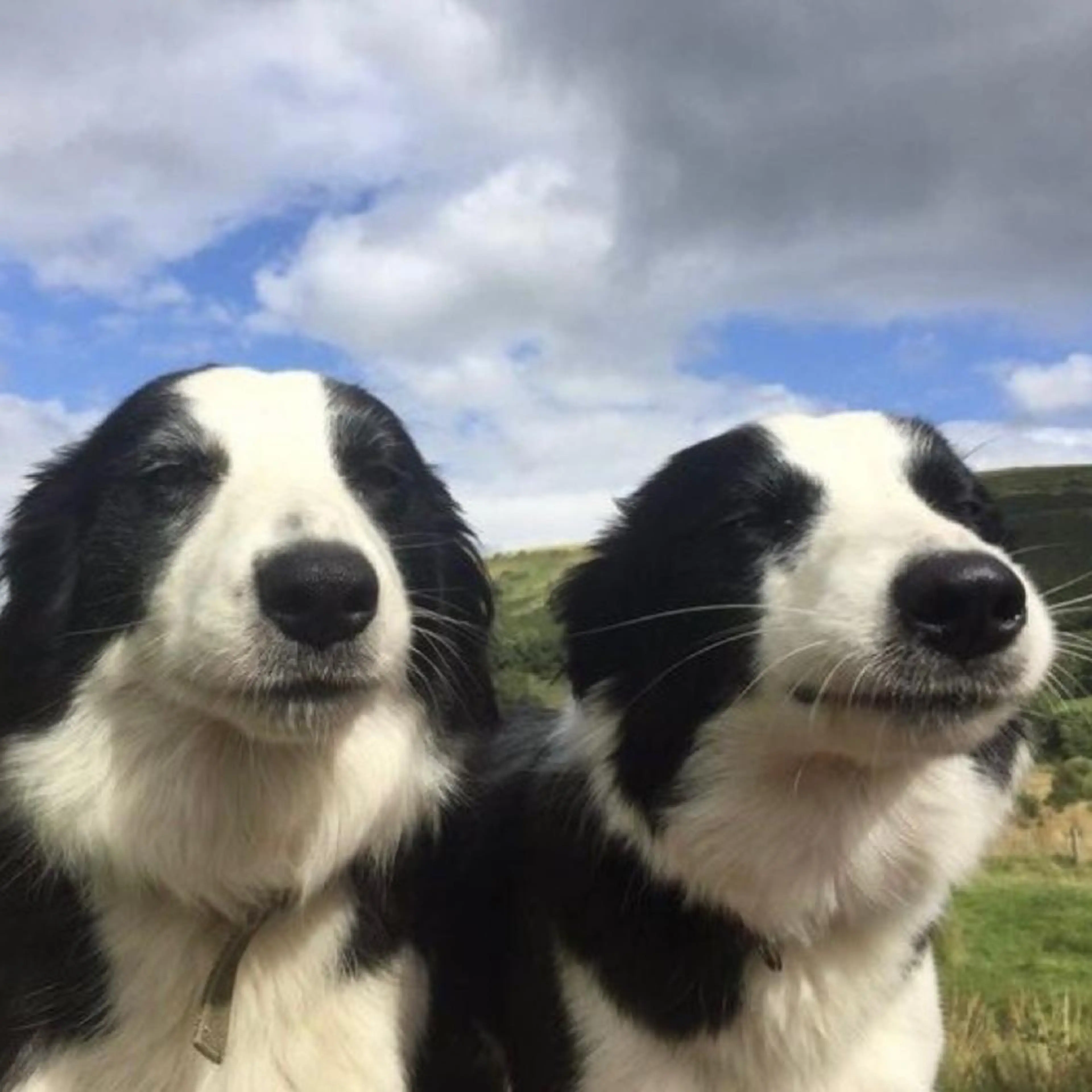 キミとツメジェルオフのみ【甘皮ケア含まれていません🙇♂️】の写真