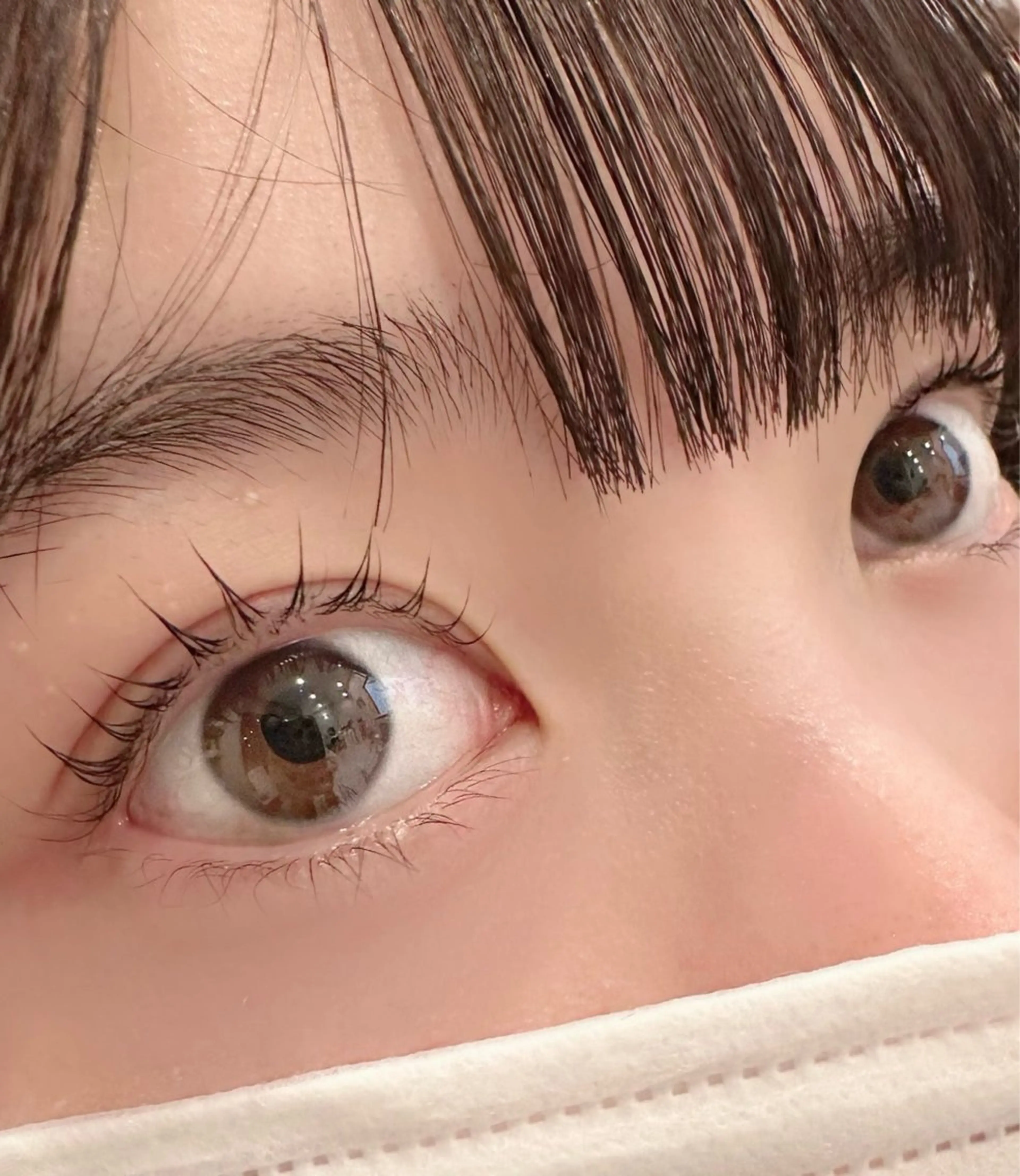 新規様限定　ラッシュリフトの写真