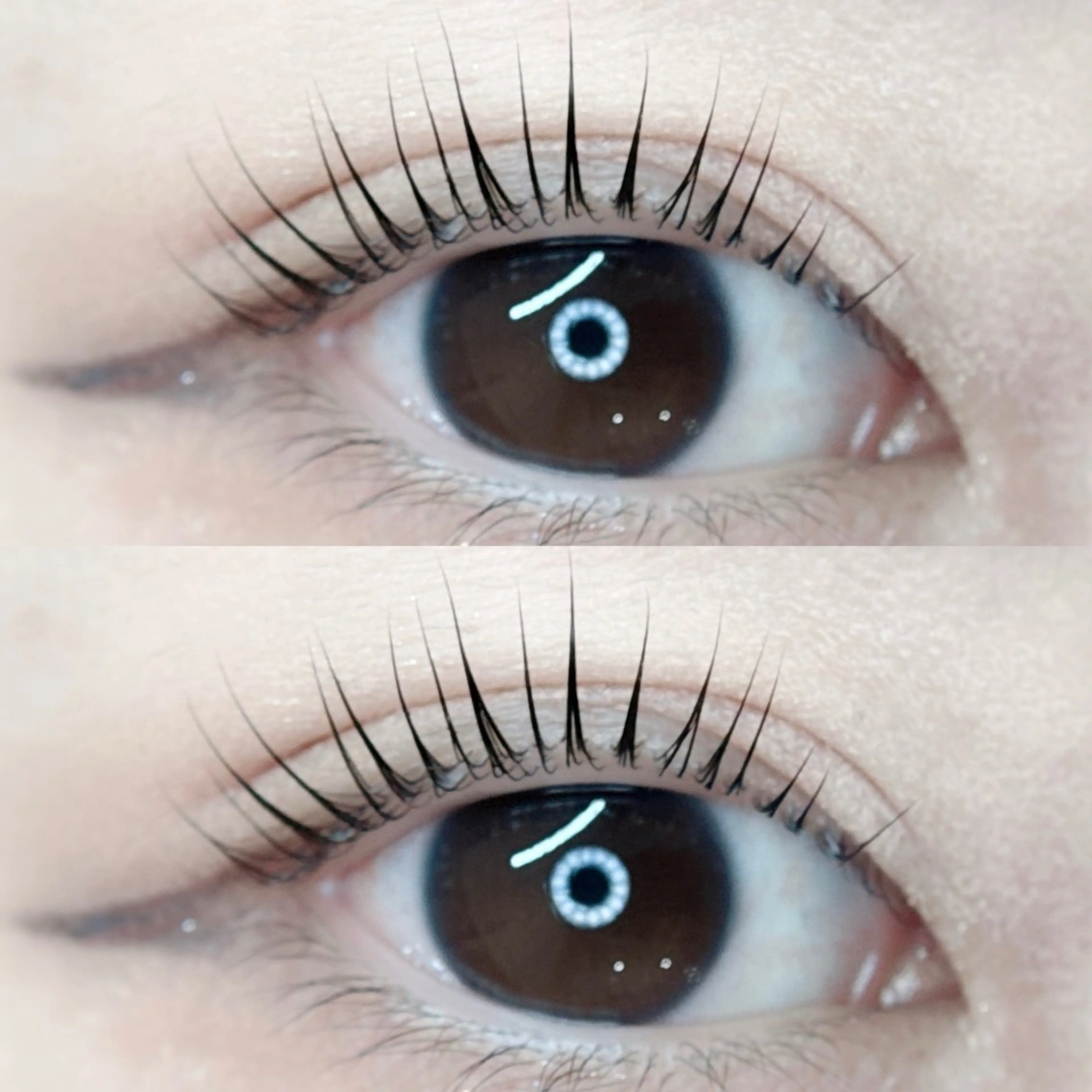 マツエク・マツパ パリジェンヌラッシュリフト アイブロウ/HBL 🦄MEMEの眉毛・アイブロウイメージ