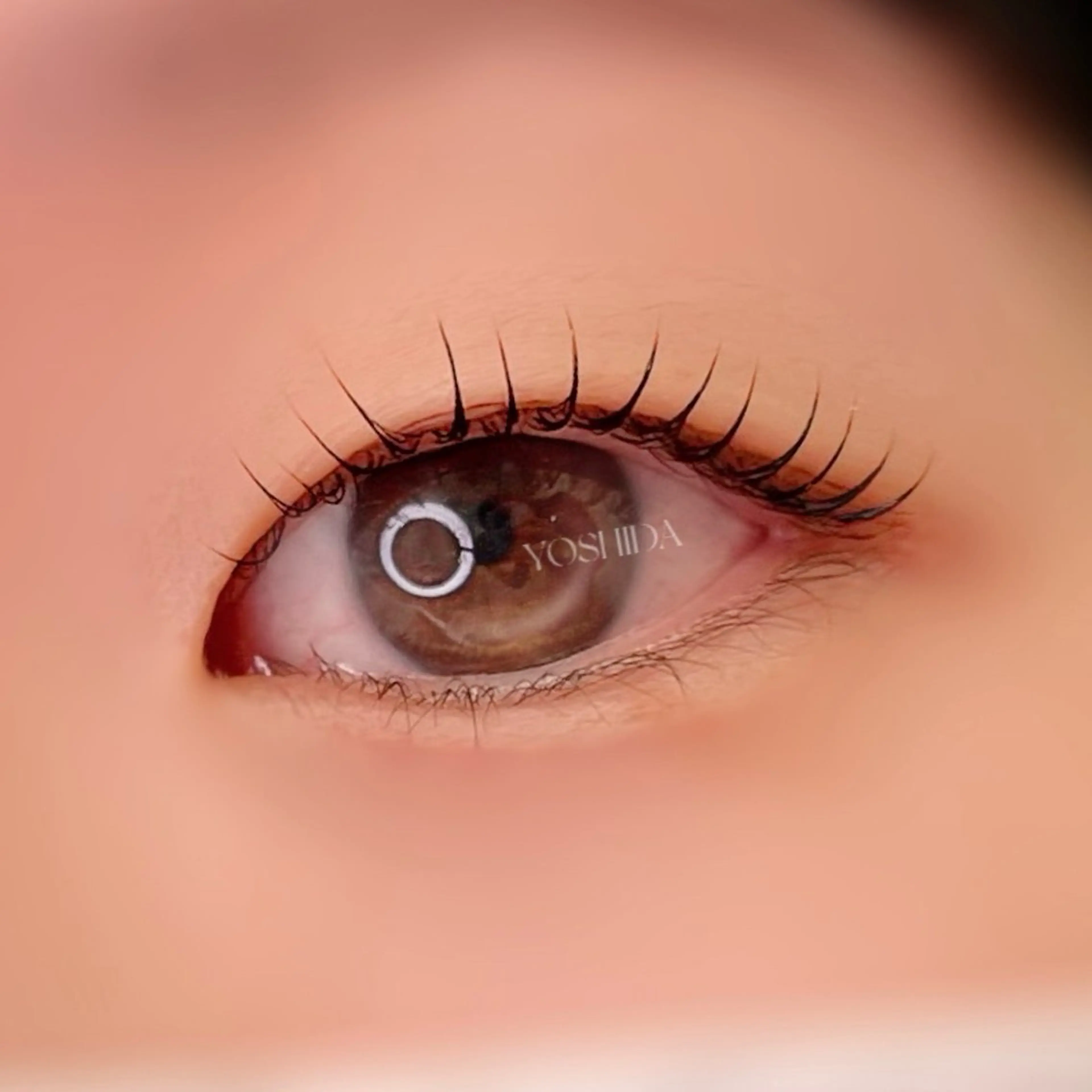 マツエク・マツパ 一重×まつ毛パーマ マツパ 【一重┊︎奥二重】 YOSHIDA🌙の眉毛・アイブロウイメージ