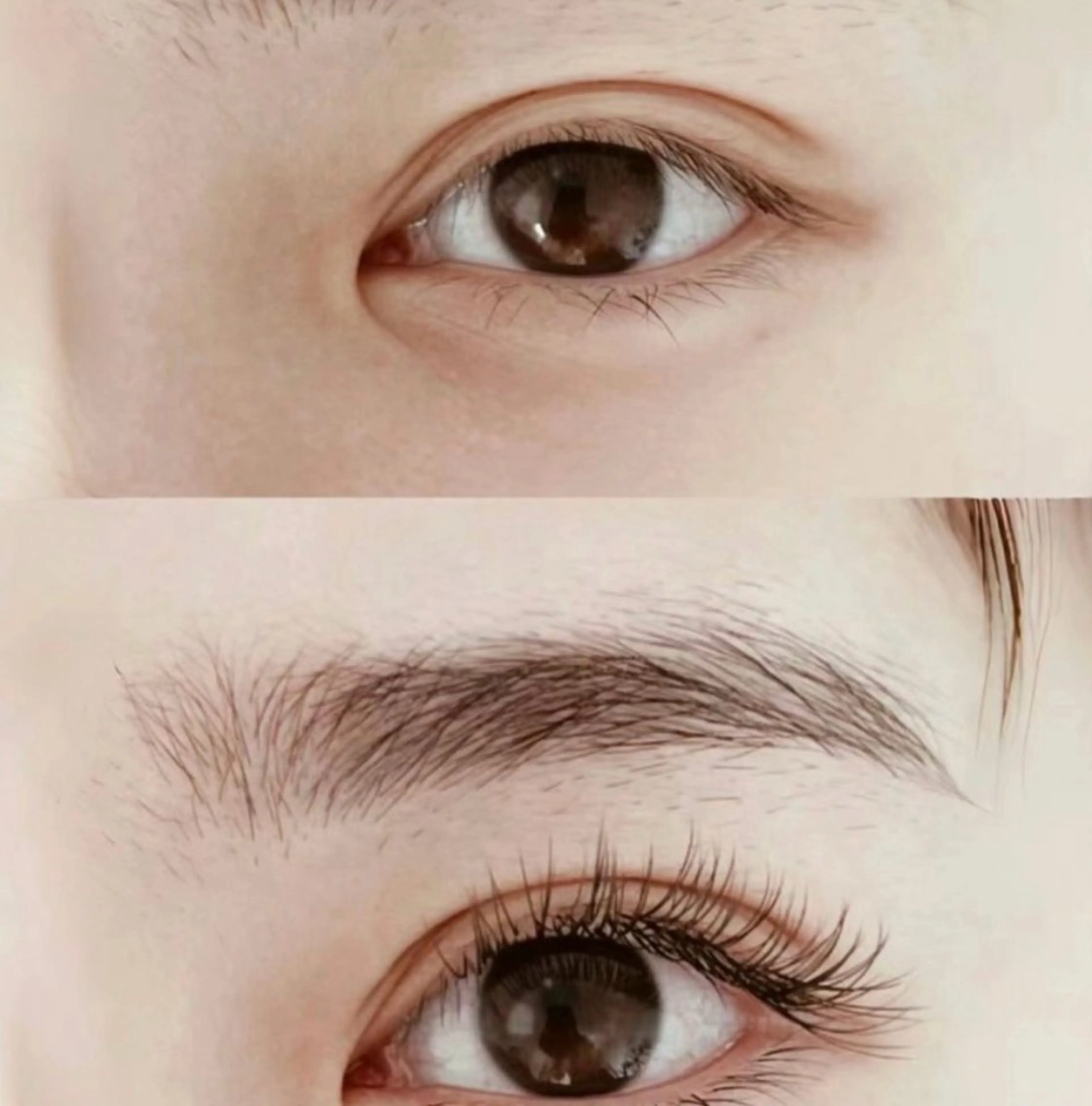 ボリュームラッシュ500本/40本、コーティング仕上げ💕2️⃣回以降オフ+550の写真