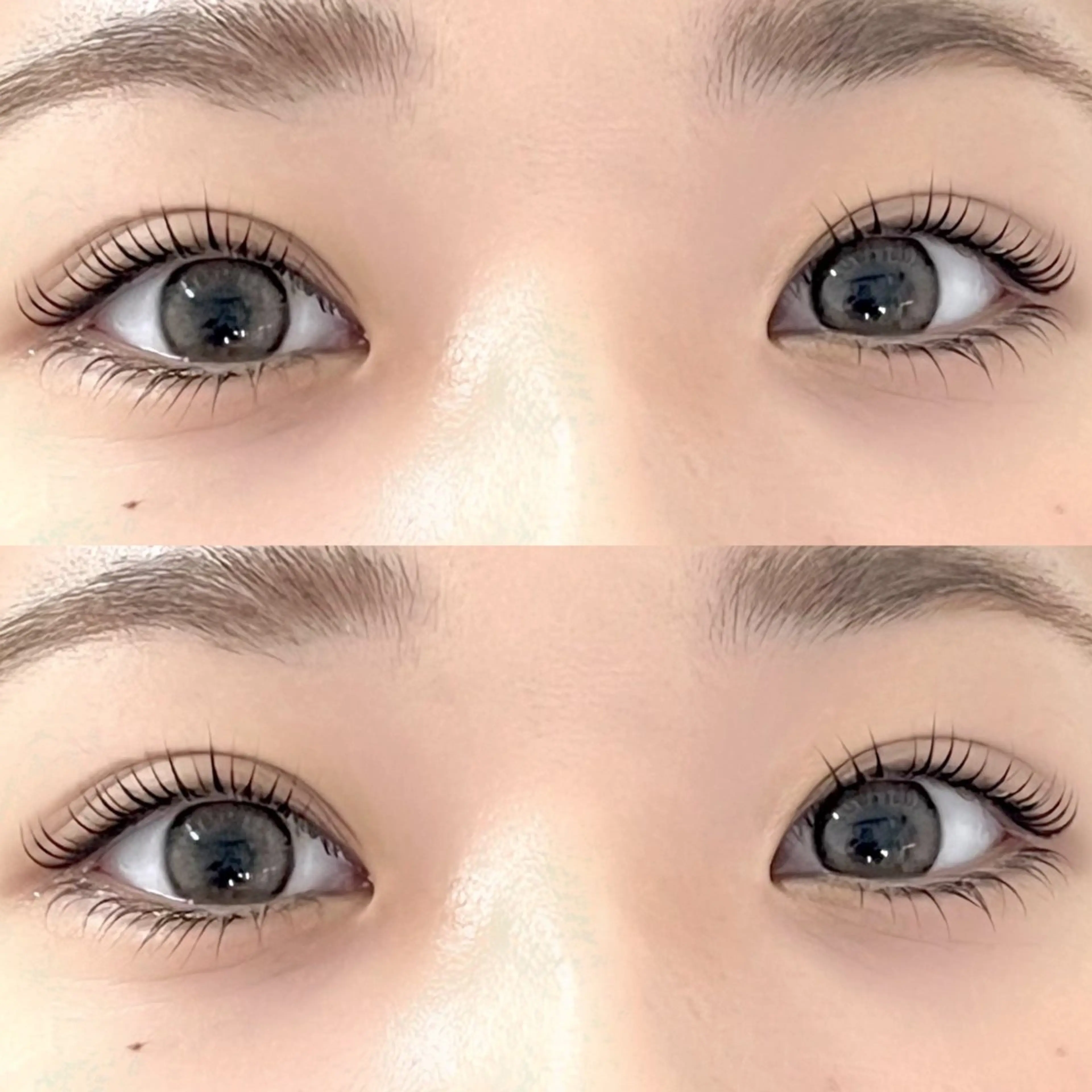 マツエク・マツパ Chihiro🕊️ 韓国パーマ/眉毛のマツエク・マツパデザイン