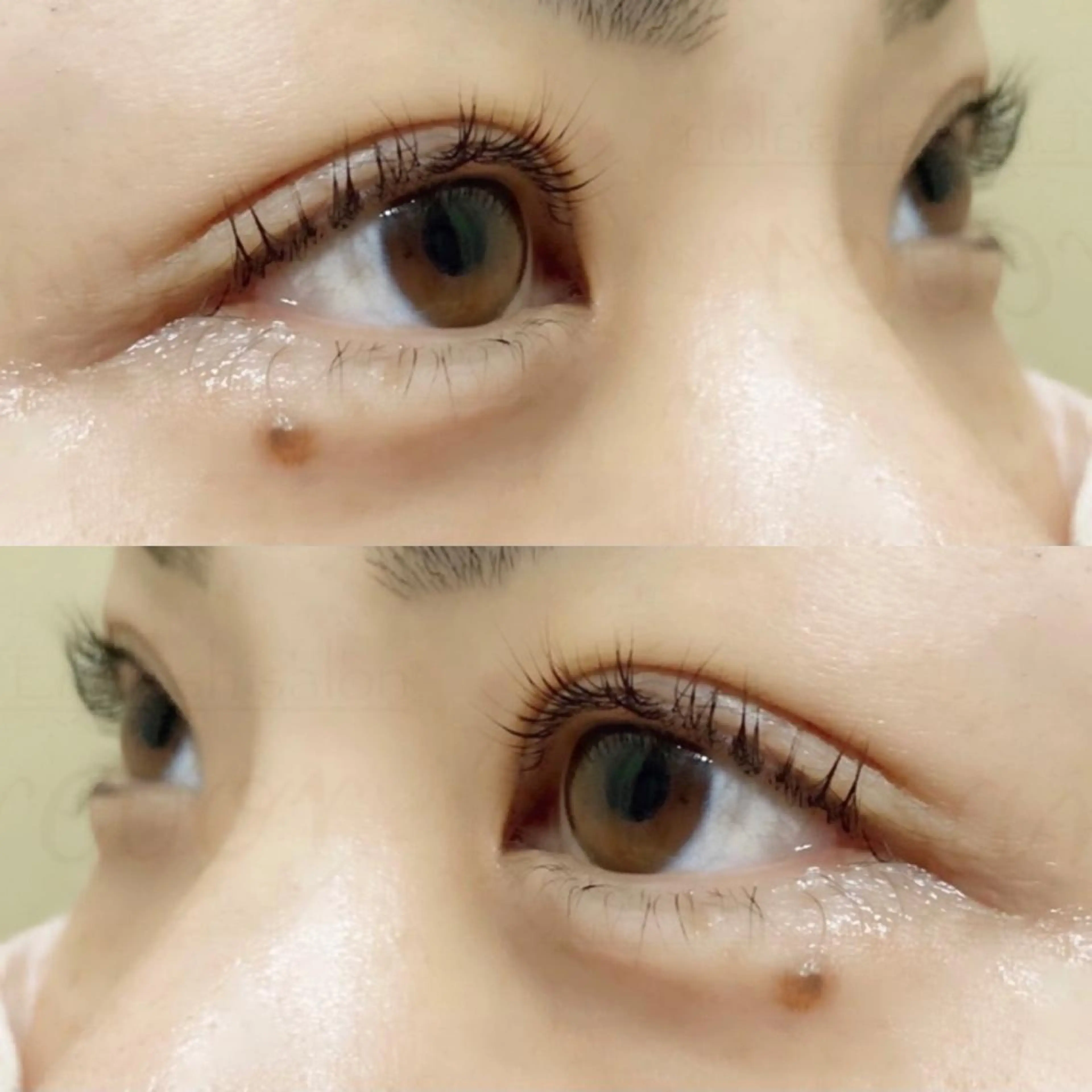 マツエク・マツパ マツパ トレヴァーデルチザン inuiのマツエク・マツパデザイン