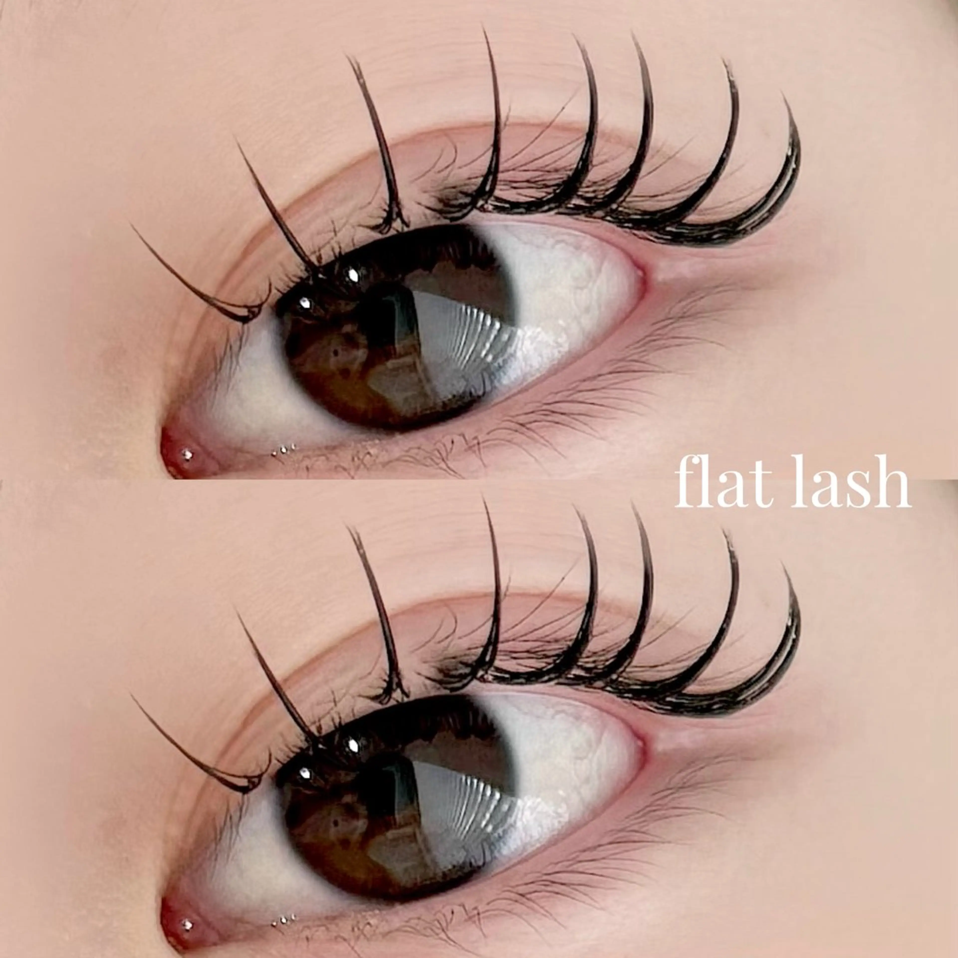 🌸ミニモ学割平日限定🌸マツエク 120本(オフ無料)＋アイシャンプーの写真