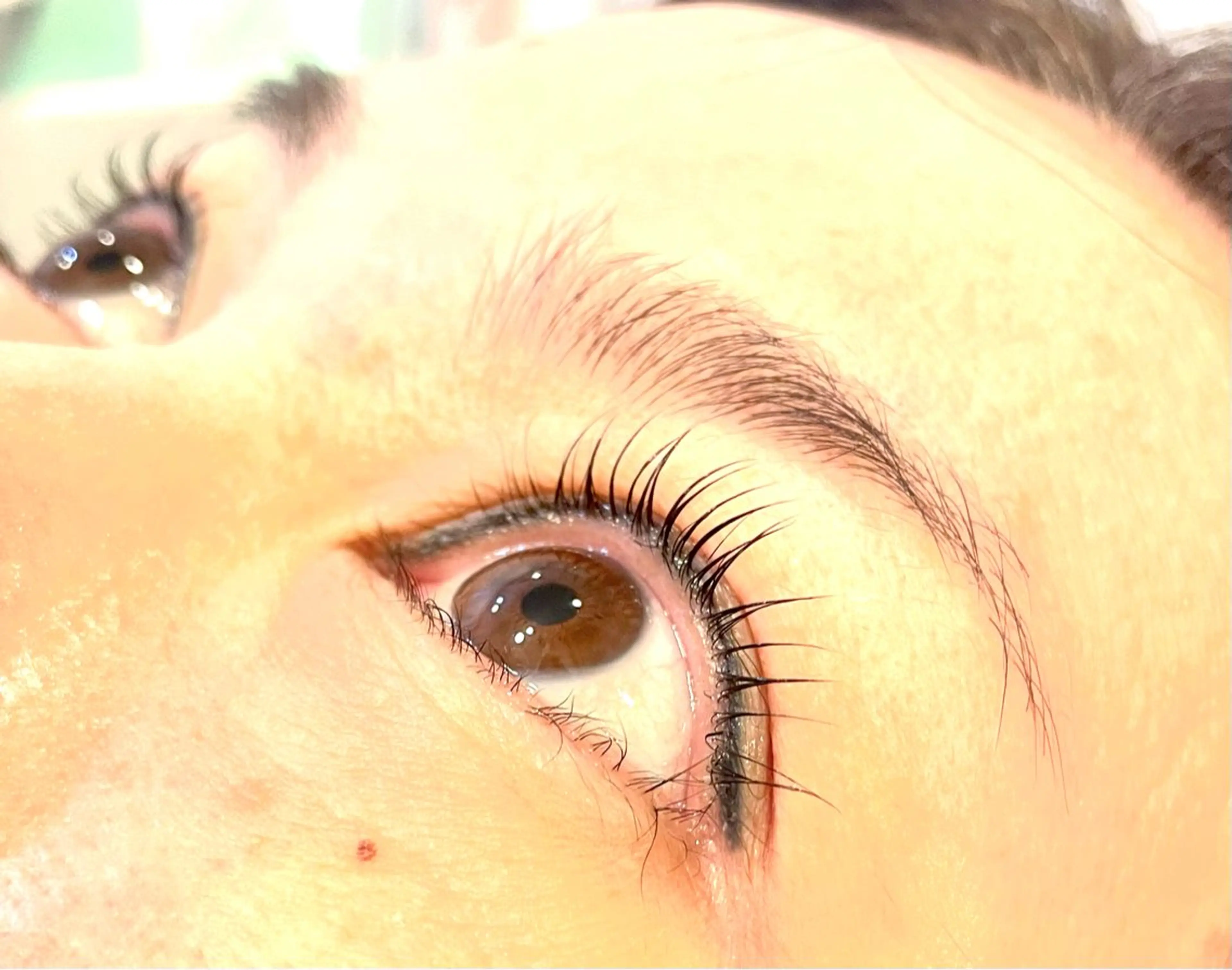 マツエク・マツパ パリジェンヌラッシュリフト beauce eyelash所属・Beauce / 無料モデル募集のマツエク・マツパデザイン